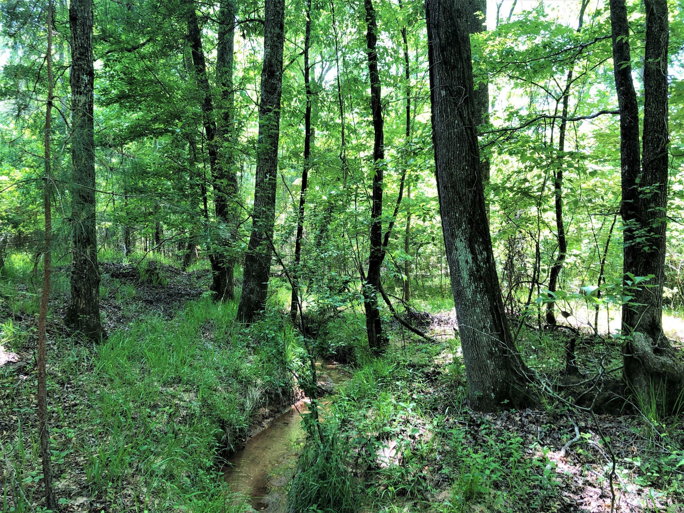 70 acres in Jones County,