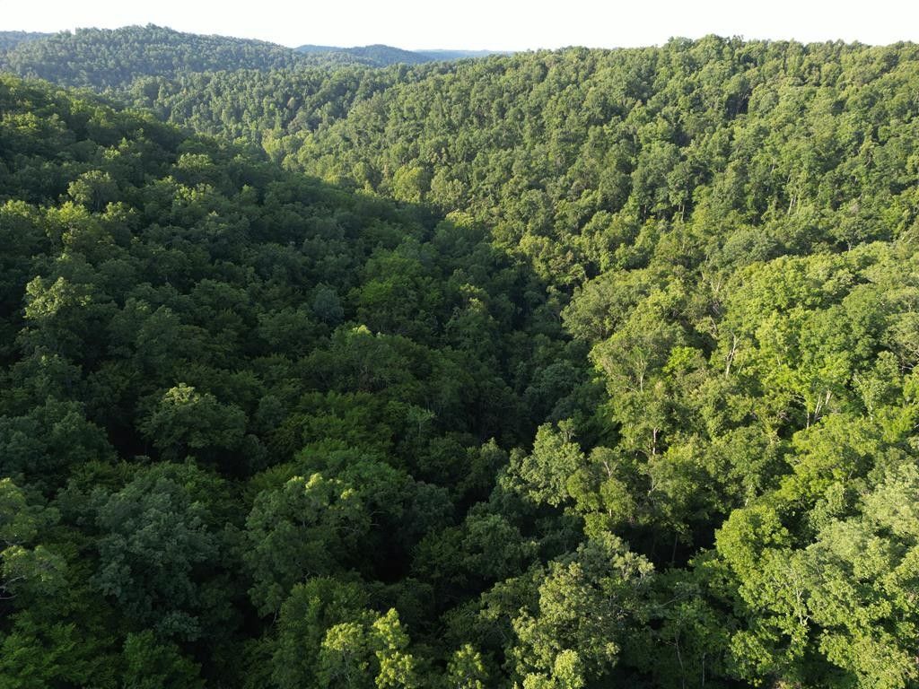 67 acres in Elliott County, Kentucky