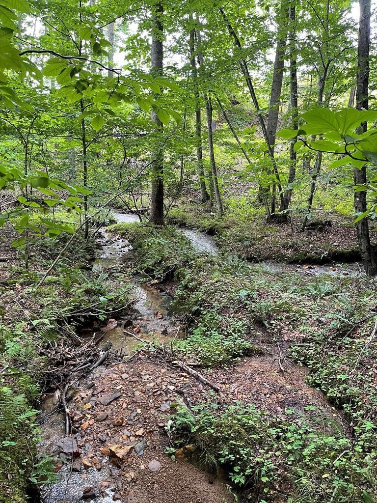 1.44 acres in Carroll County, Virginia