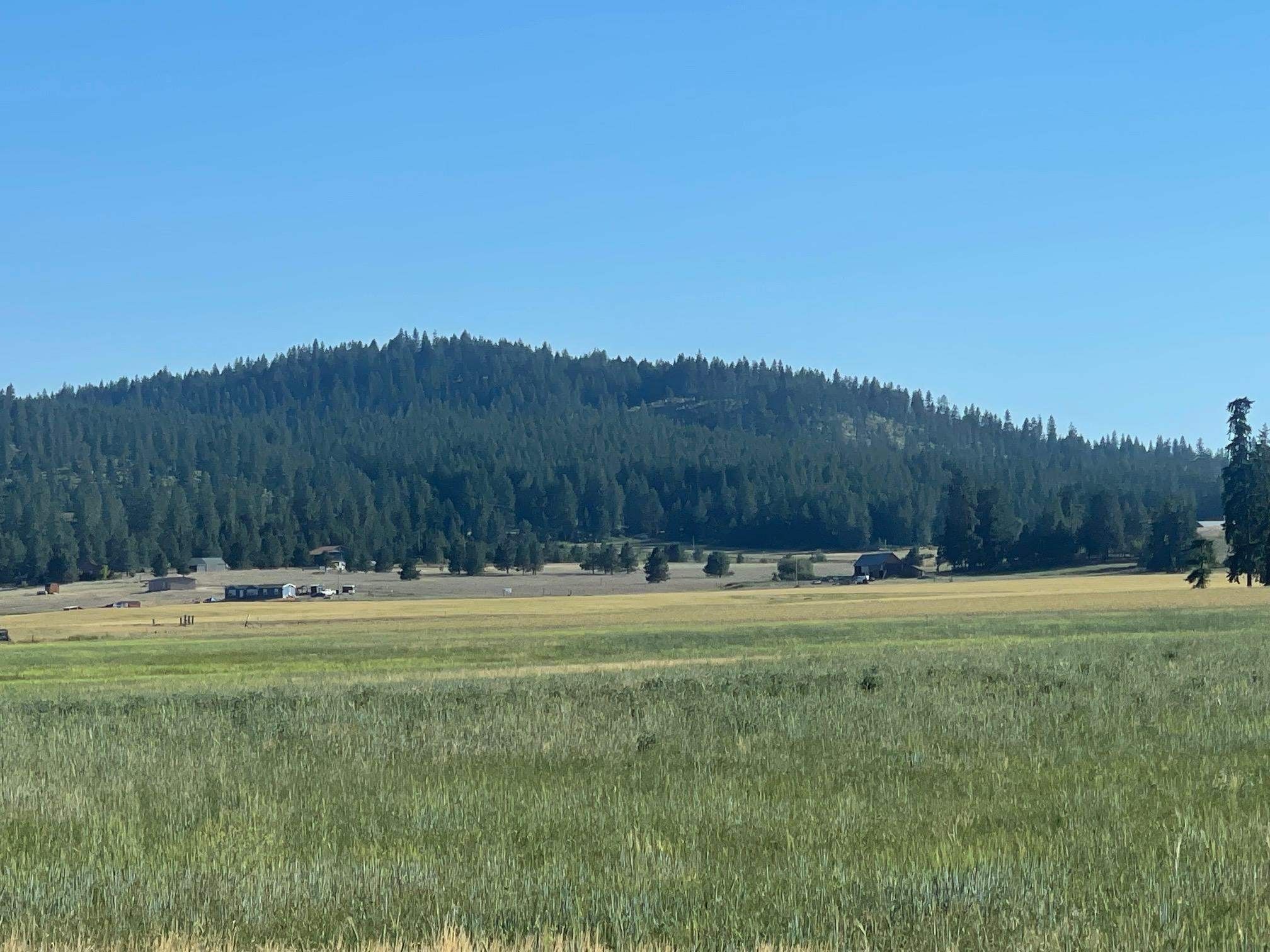 20 acres in Stevens County, Washington