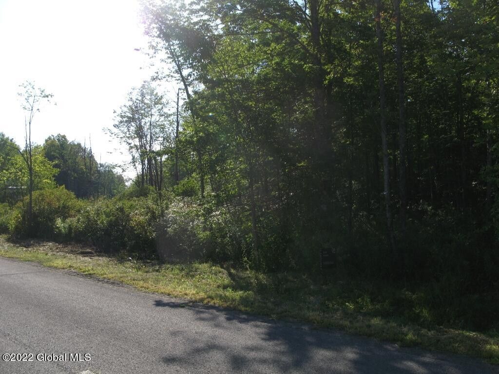 4.3 acres in Montgomery County, New York