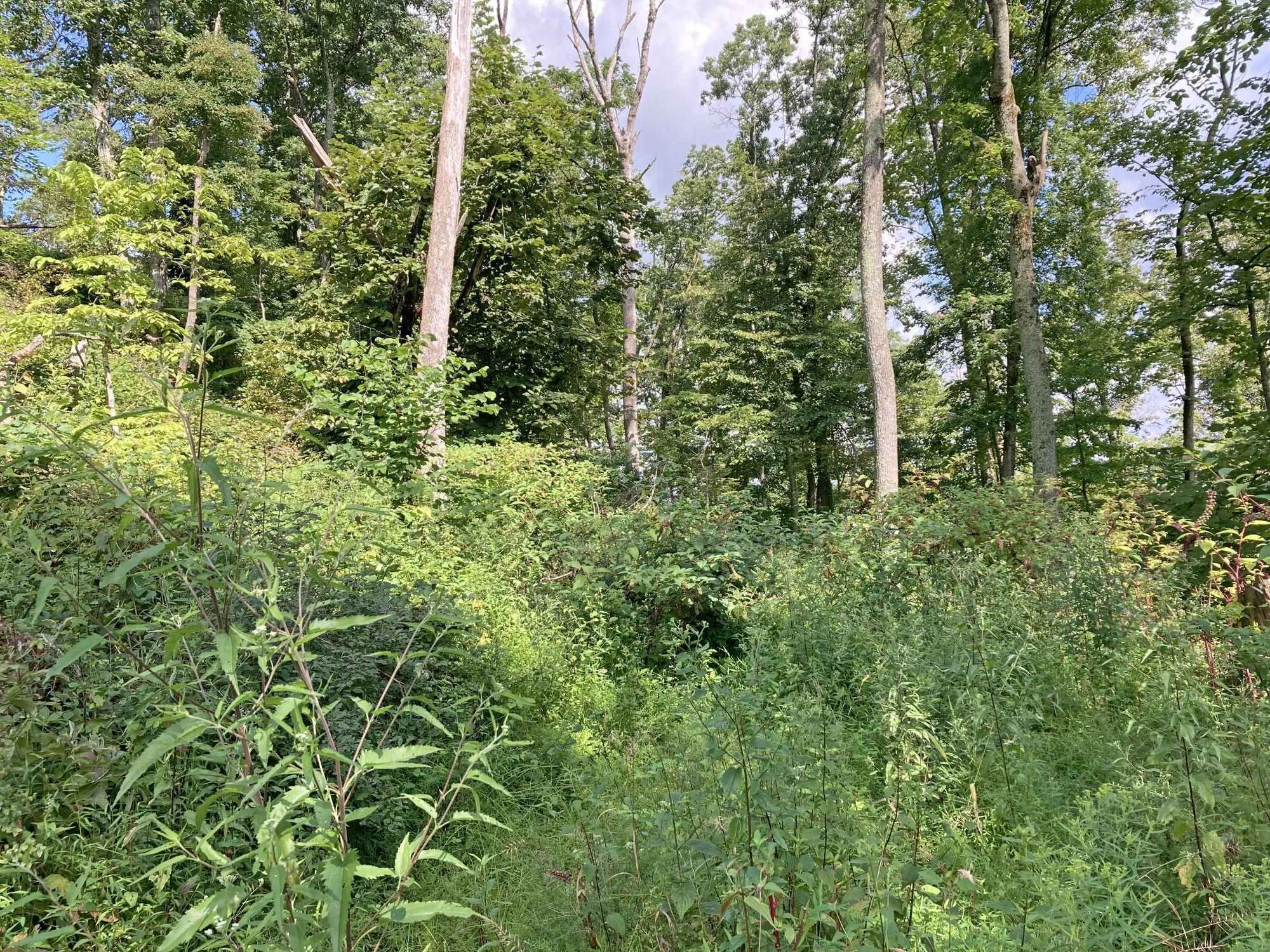 103 acres in Tyler County, West Virginia