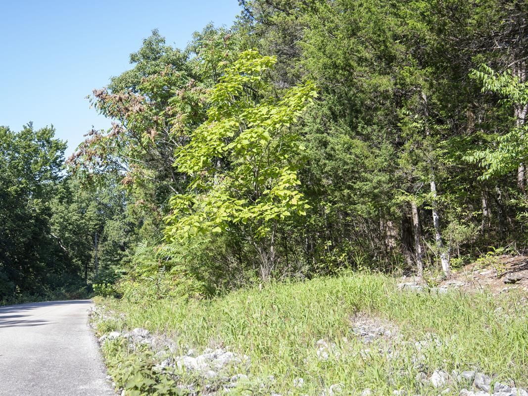 40 acres in Saint Louis County, Missouri