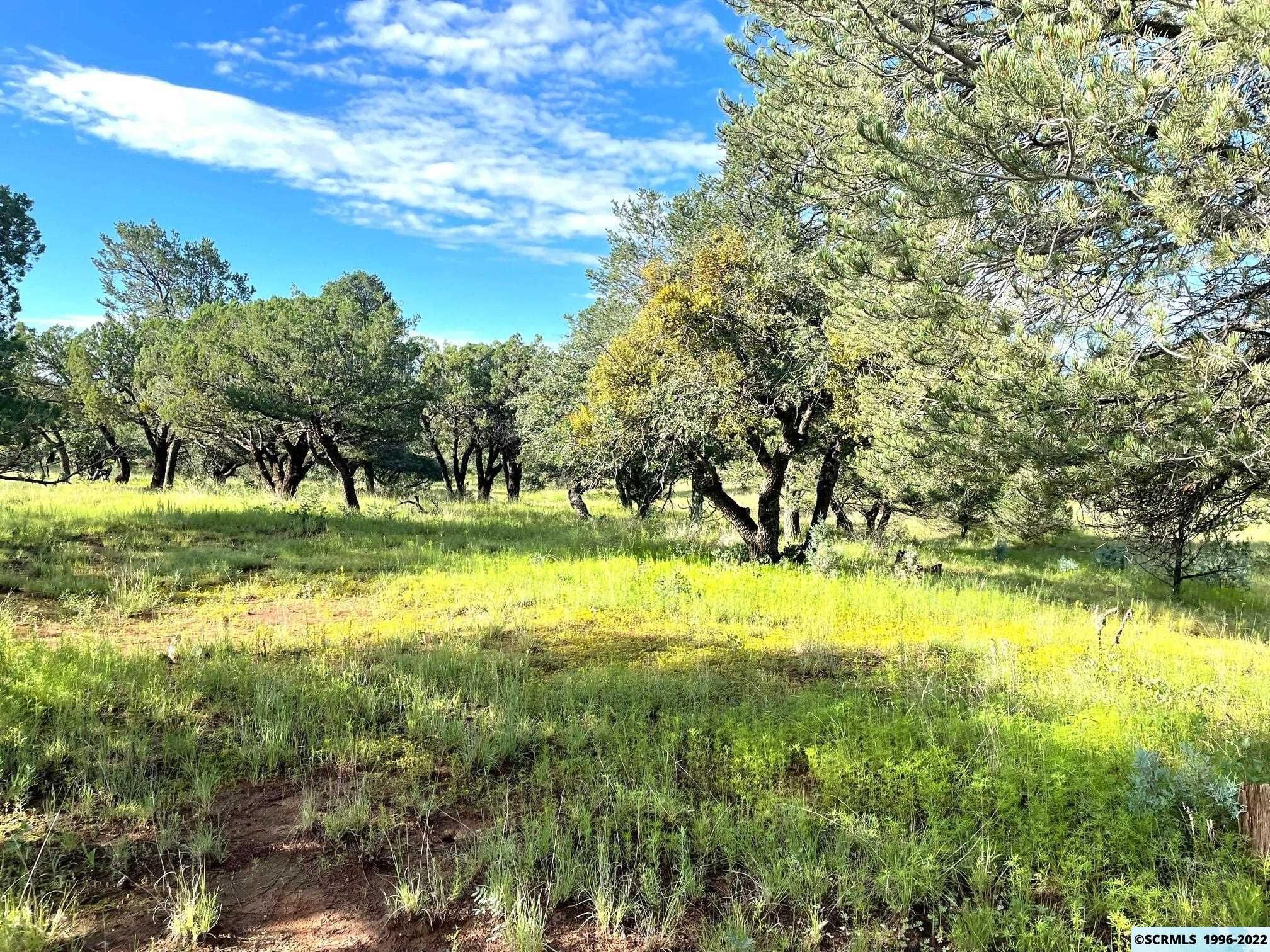 20.5 acres in Grant County, New Mexico