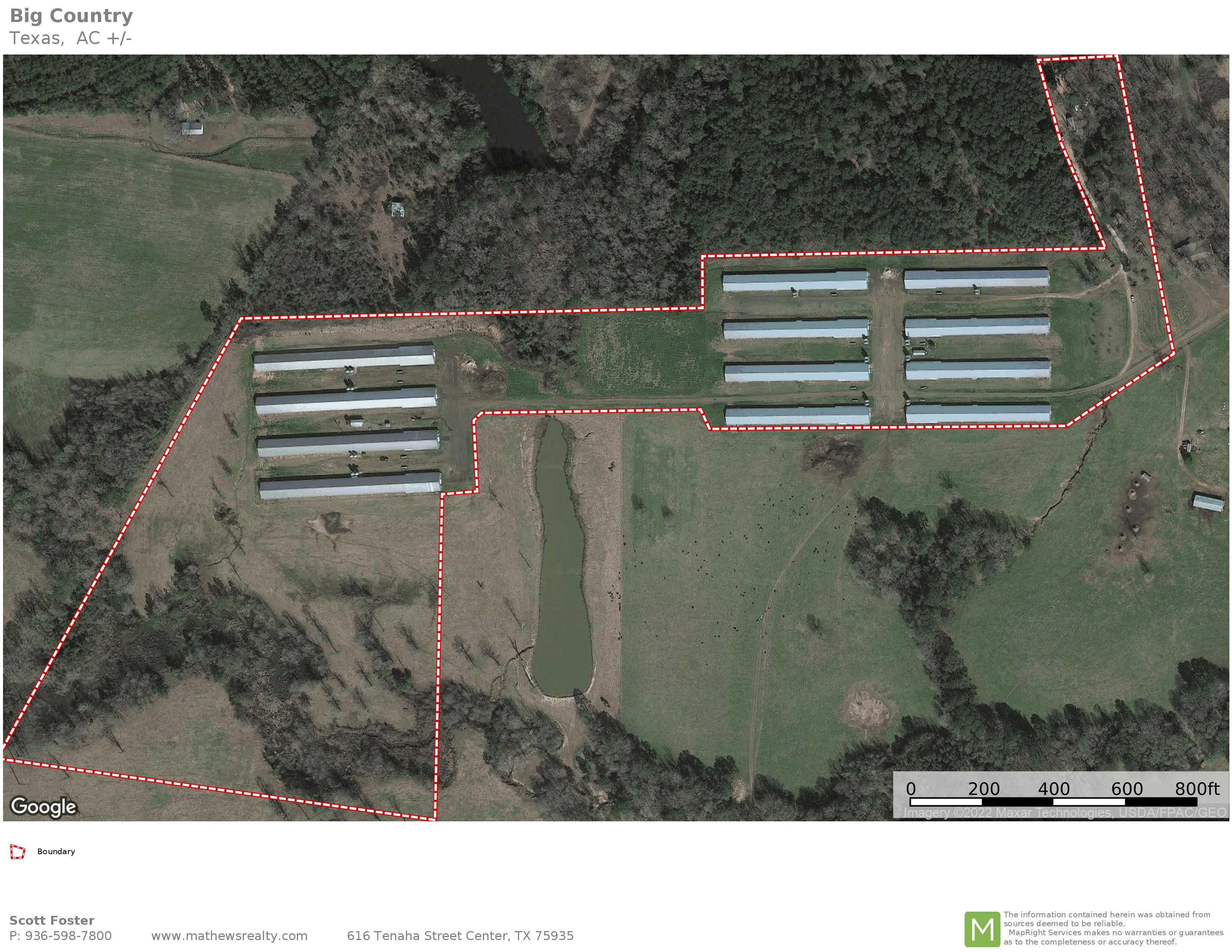 50 acres in San Augustine County, Texas