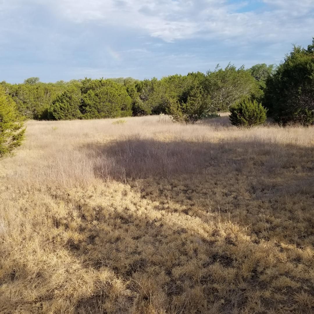 10 acres in Williamson County, Texas