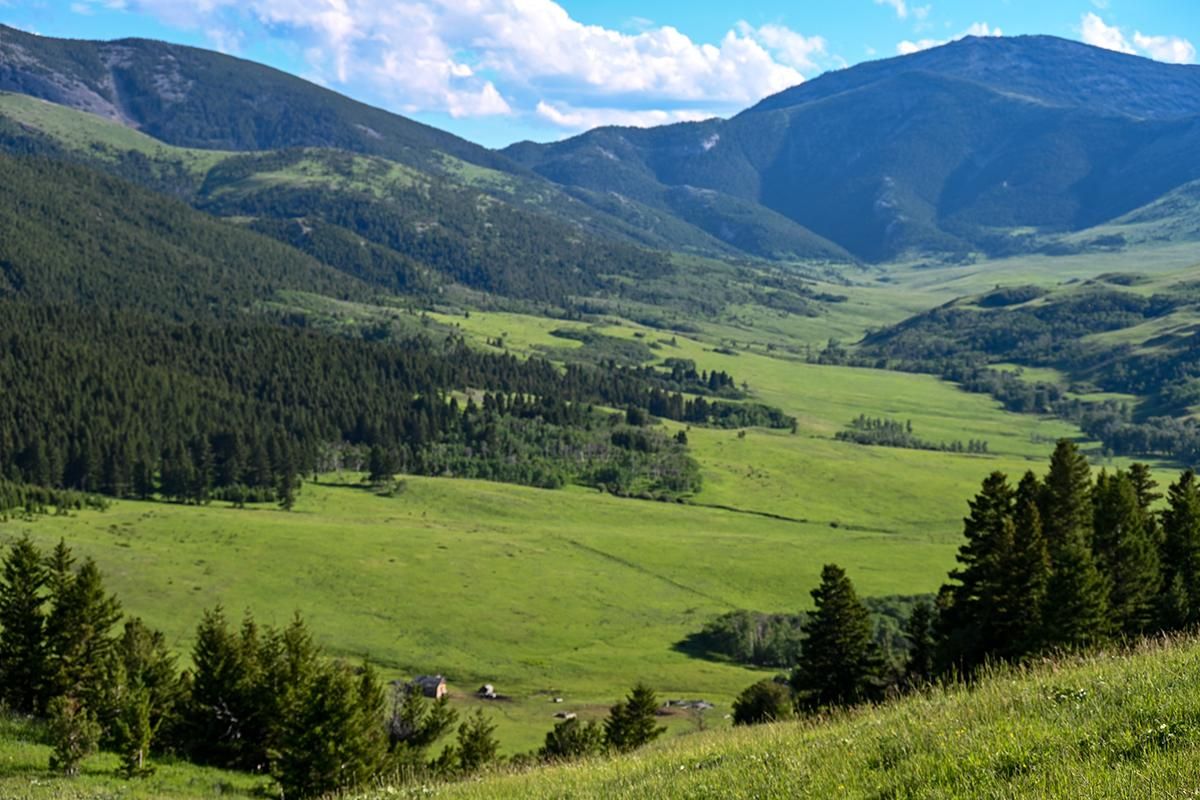 240 acres in Judith Basin County, Montana