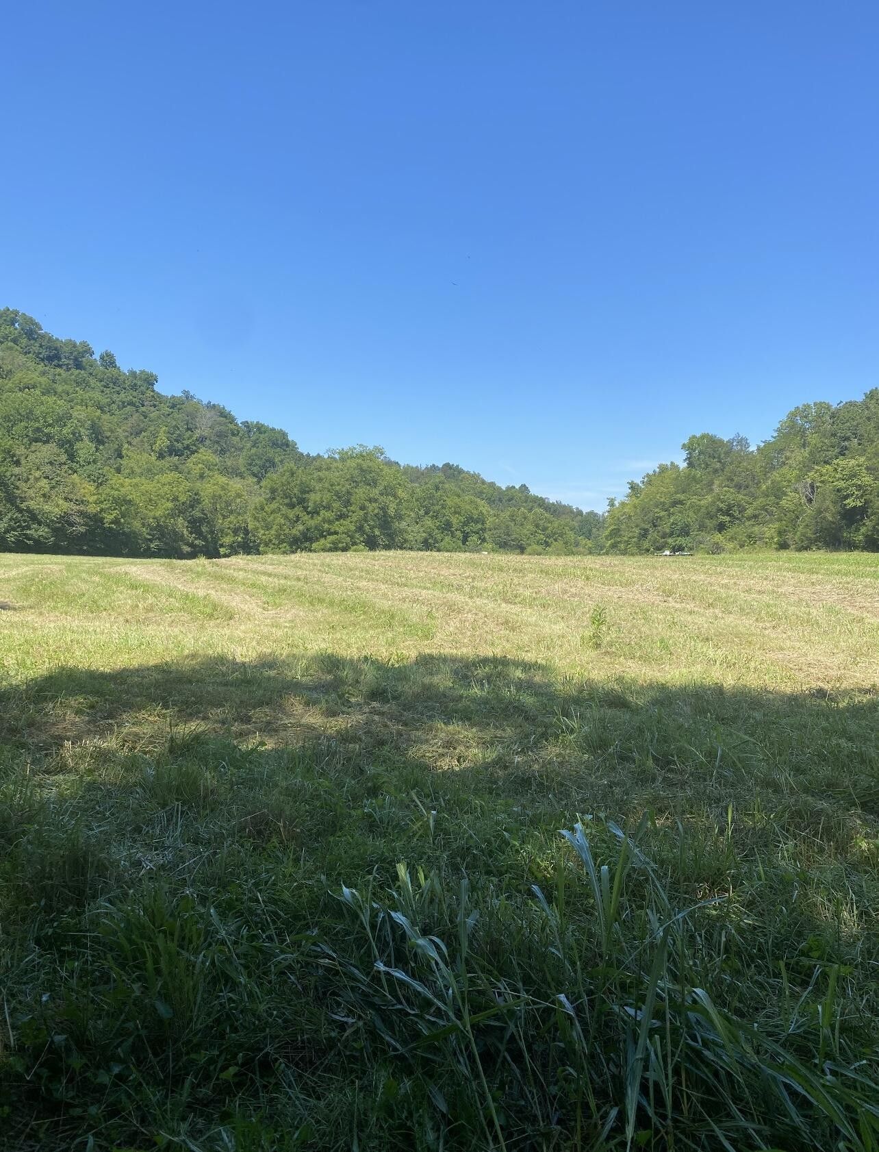 48 acres in Garrard County, Kentucky