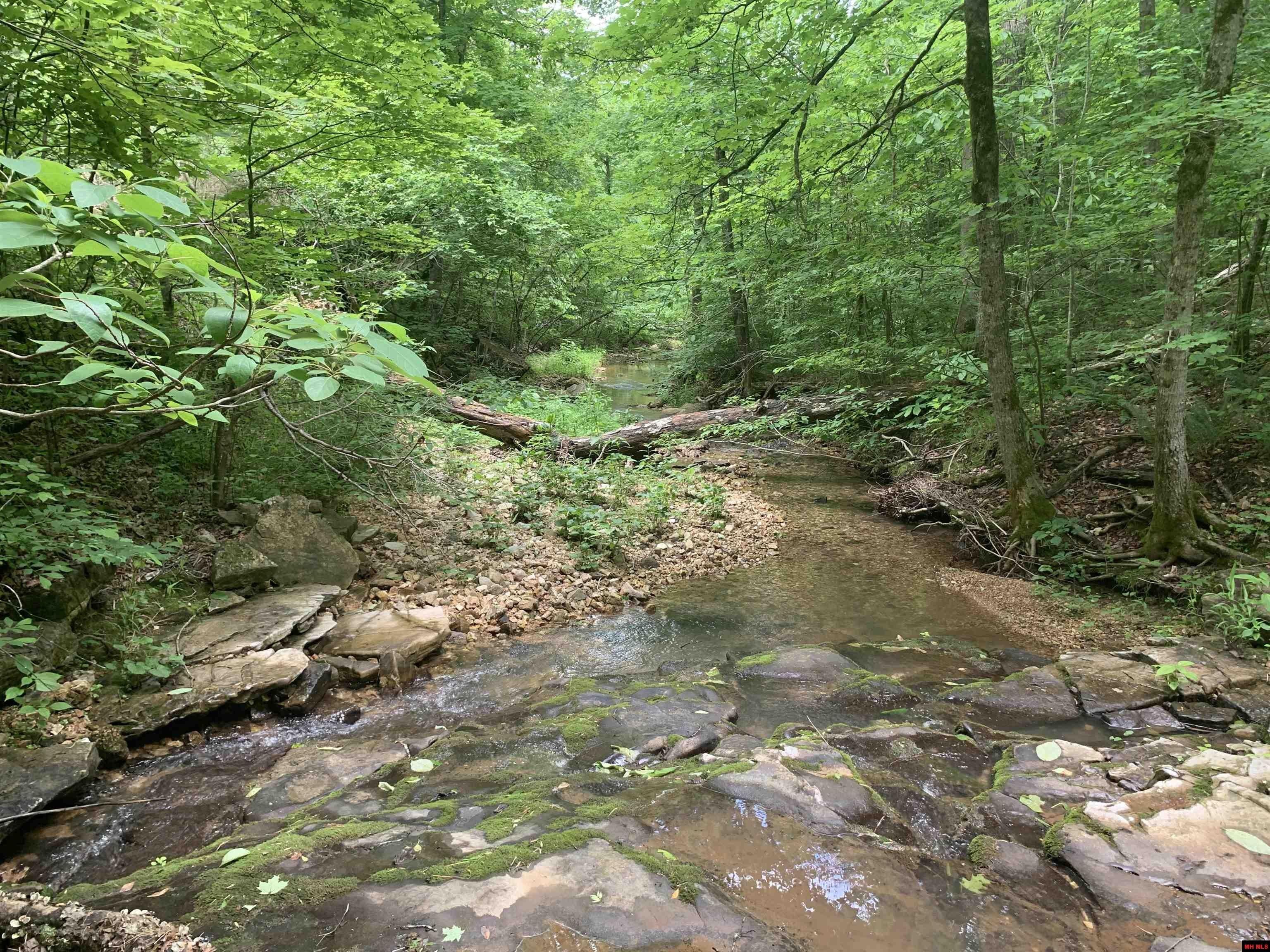 10 acres in Marion County, Arkansas