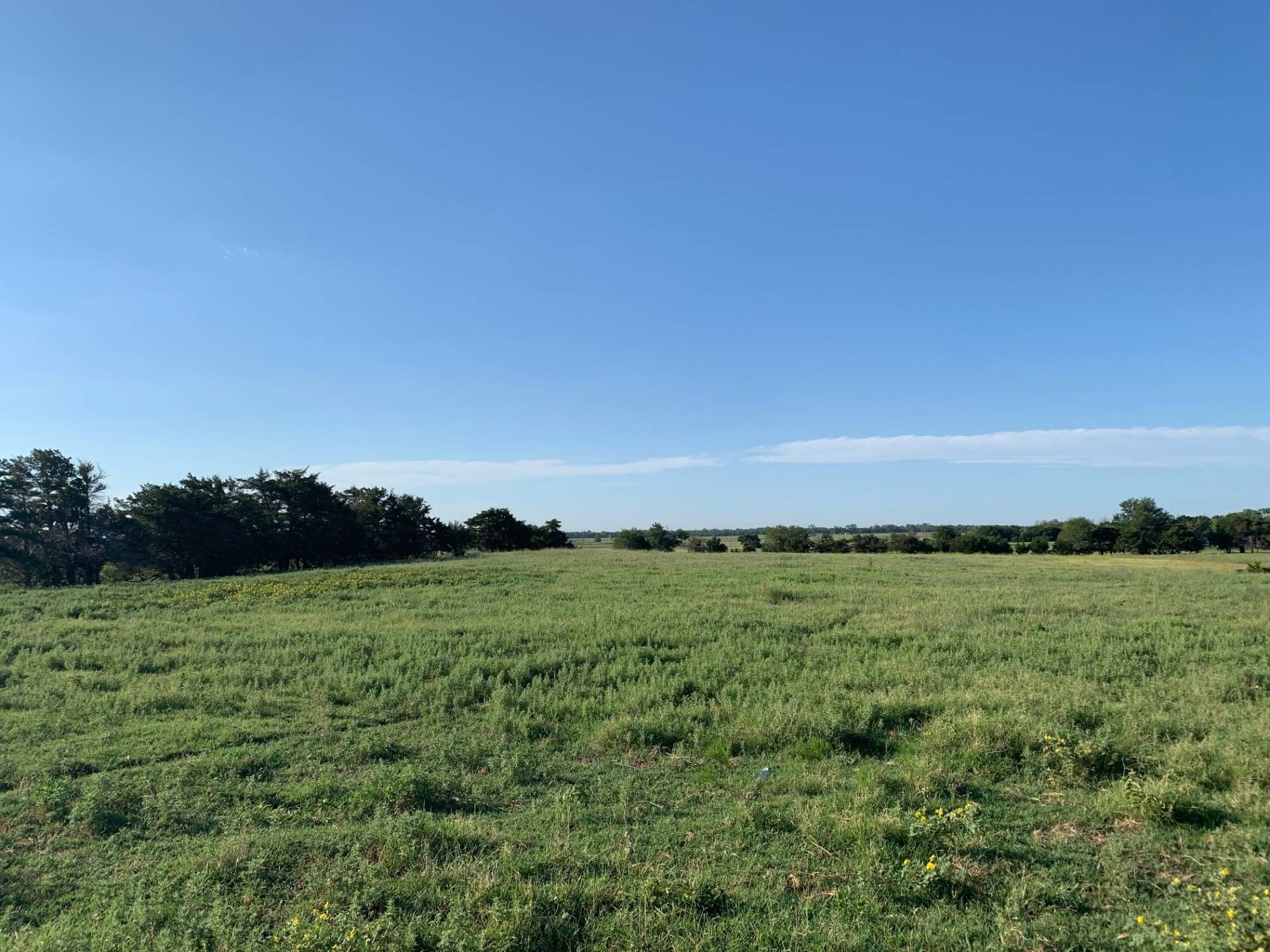 160 acres in Alfalfa County, Oklahoma