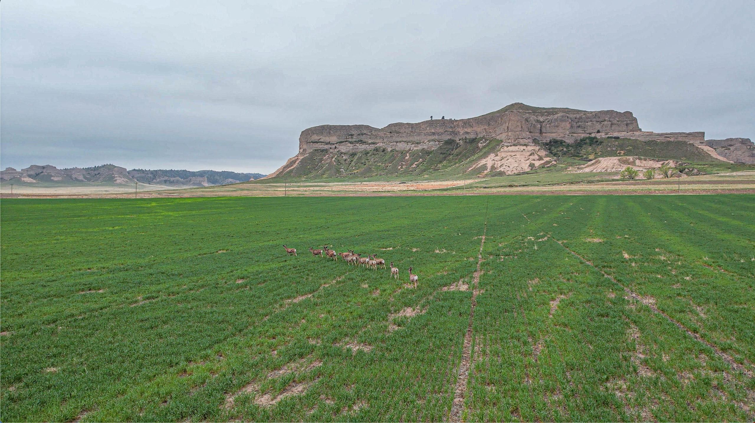 TBD CR Z, Harrisburg, NE 69345