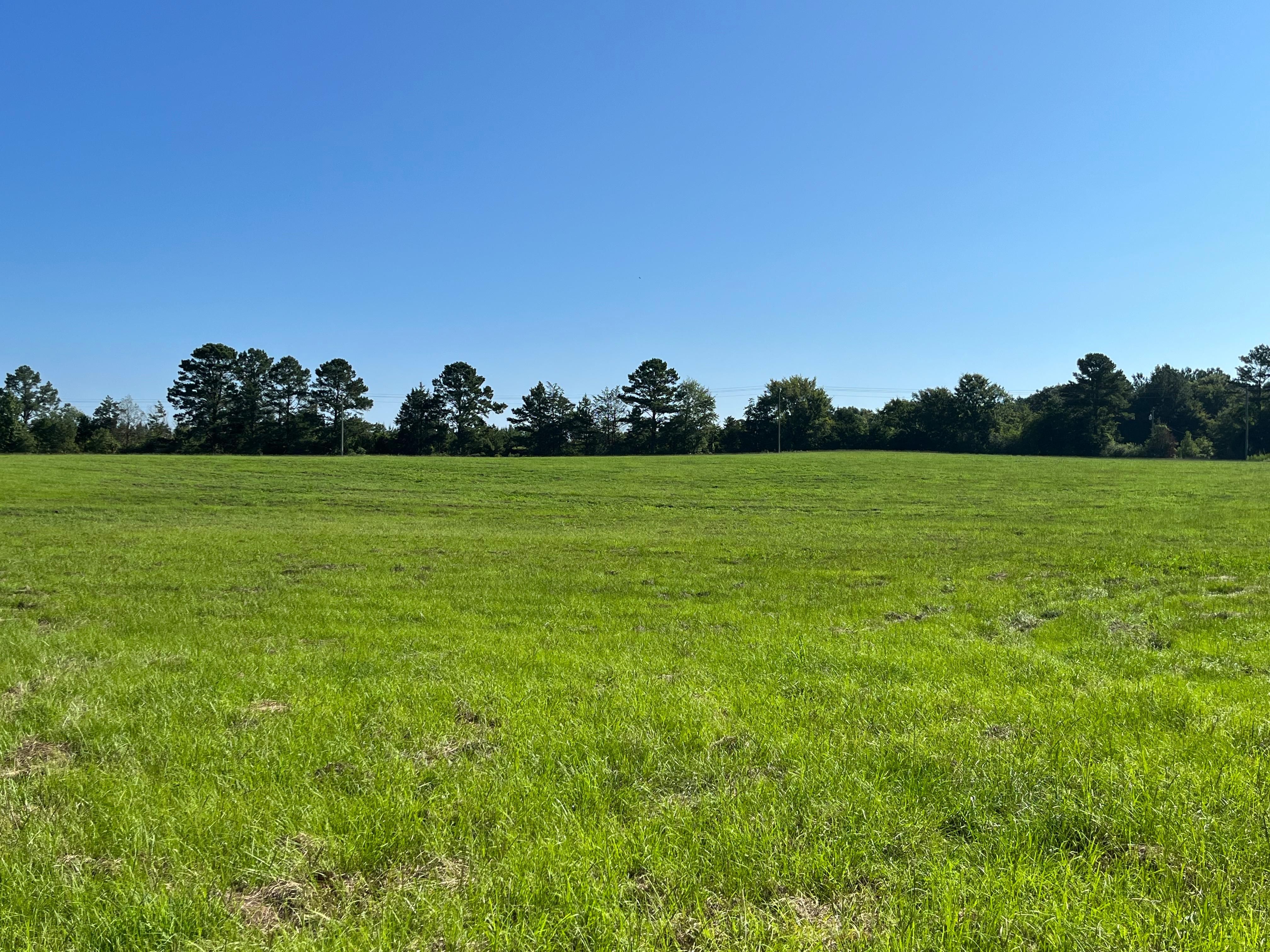 27.4 acres in Leake County, Mississippi