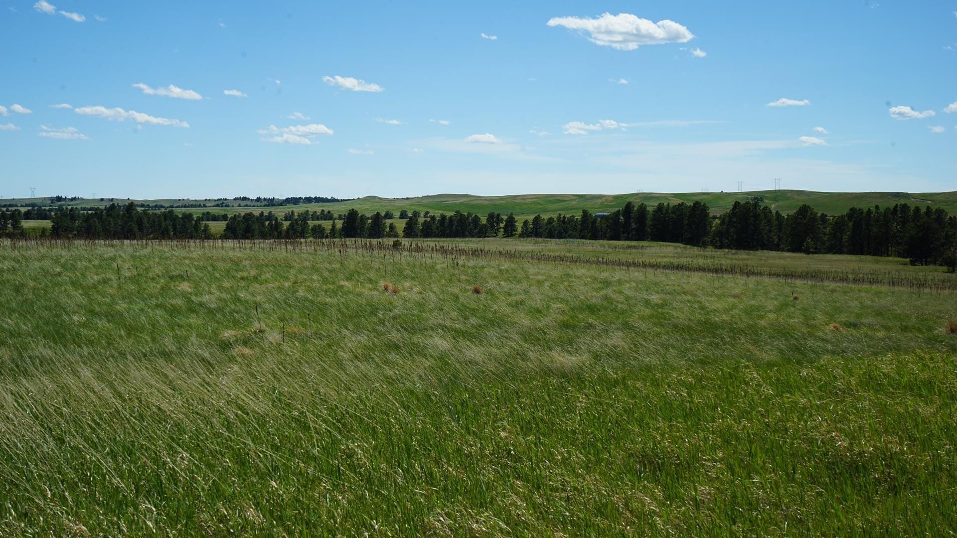 1,463 acres in Dawes County, Nebraska