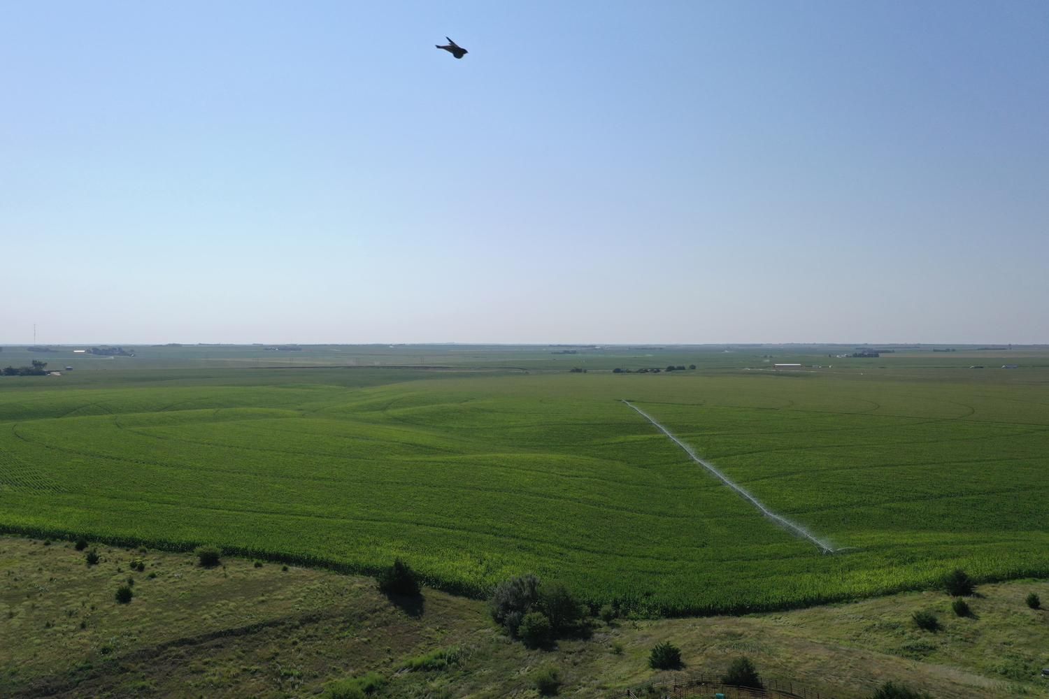 297.83 acres in Phelps County, Nebraska