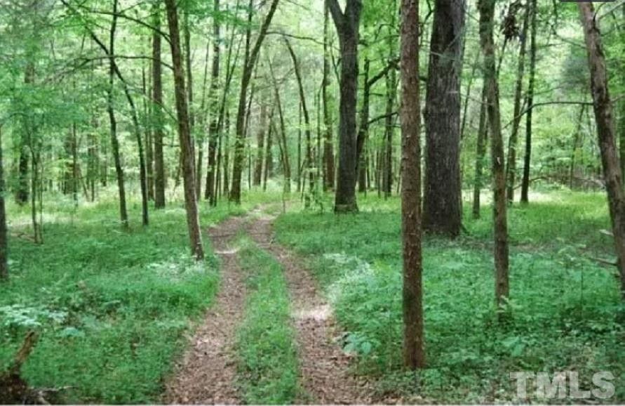 18.13 acres in Chatham County, North Carolina