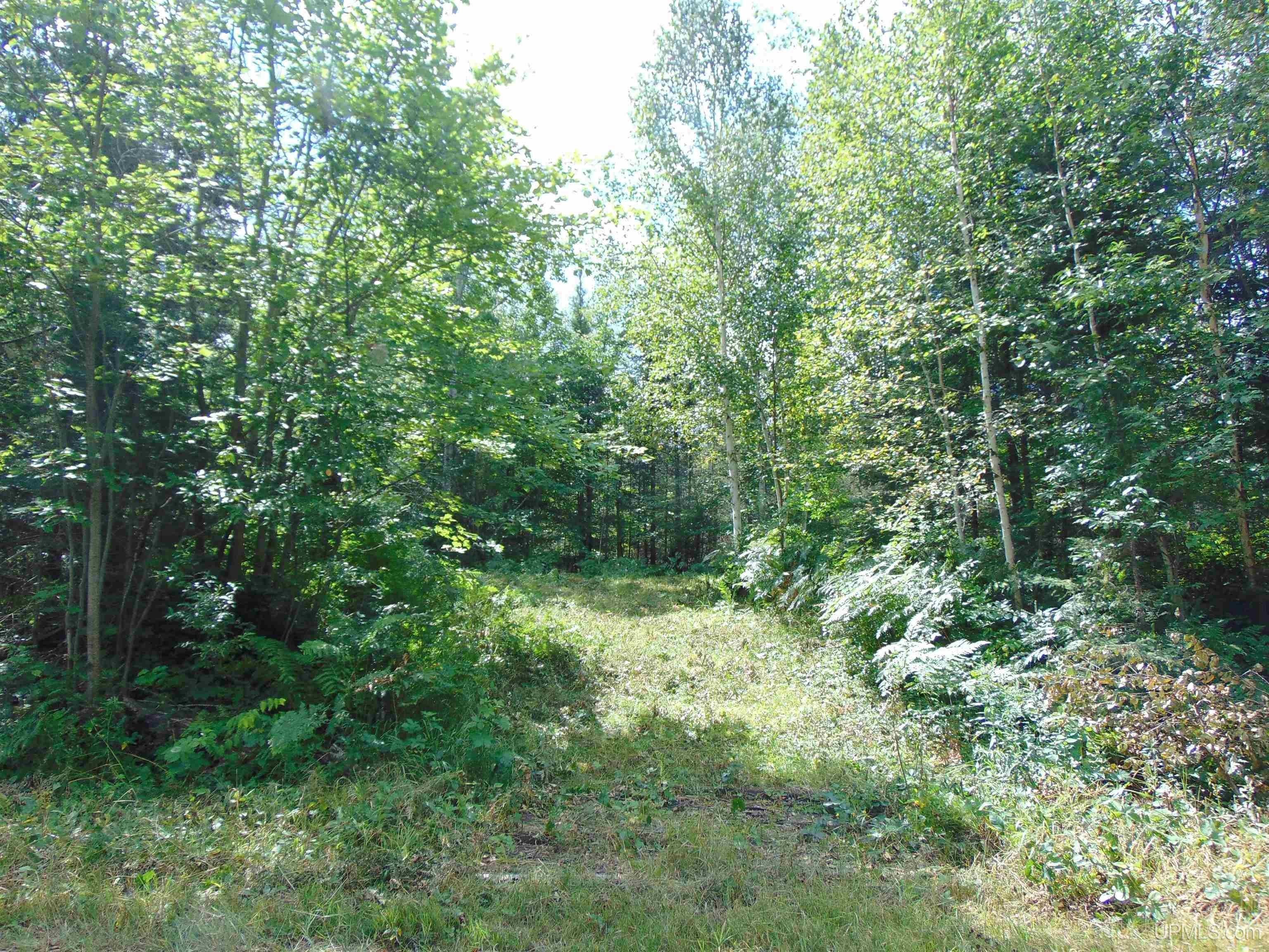 10 acres in Marquette County, Michigan
