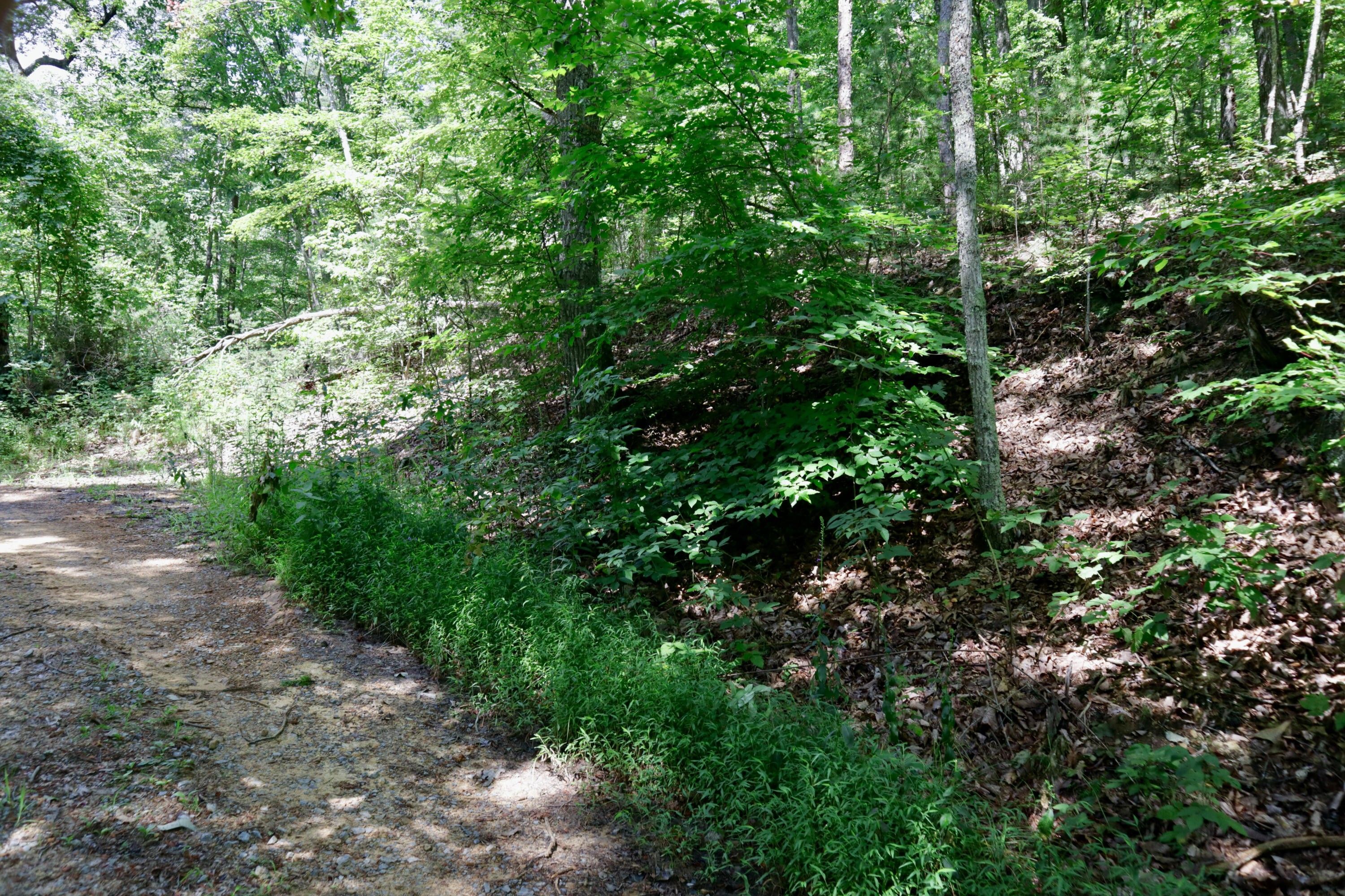 5 acres in Hawkins County, Tennessee