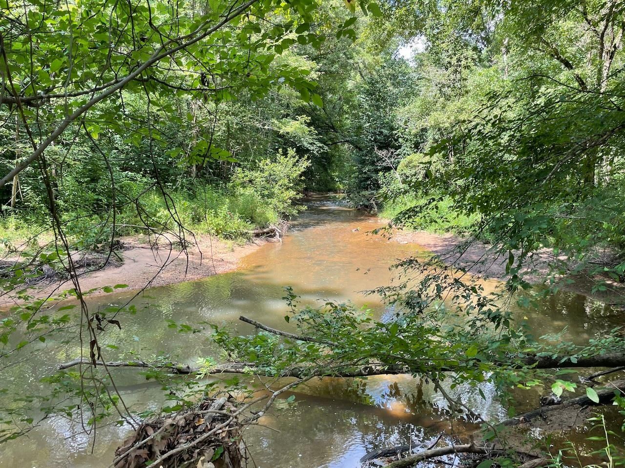 317 acres in Coosa County, Alabama