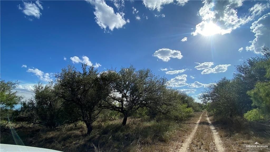 38.7 acres in Brooks County, Texas