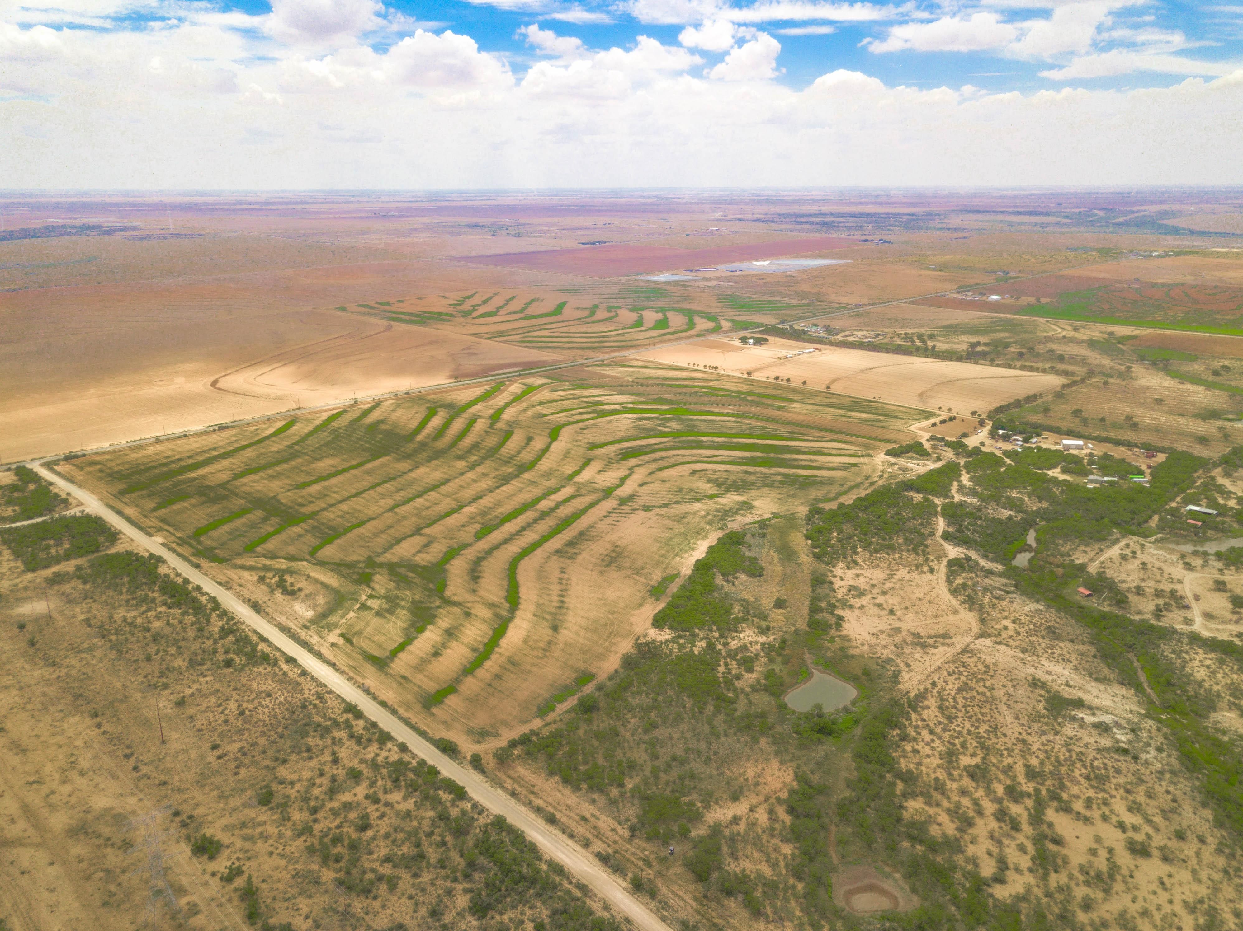 83.5 acres in Borden County, Texas