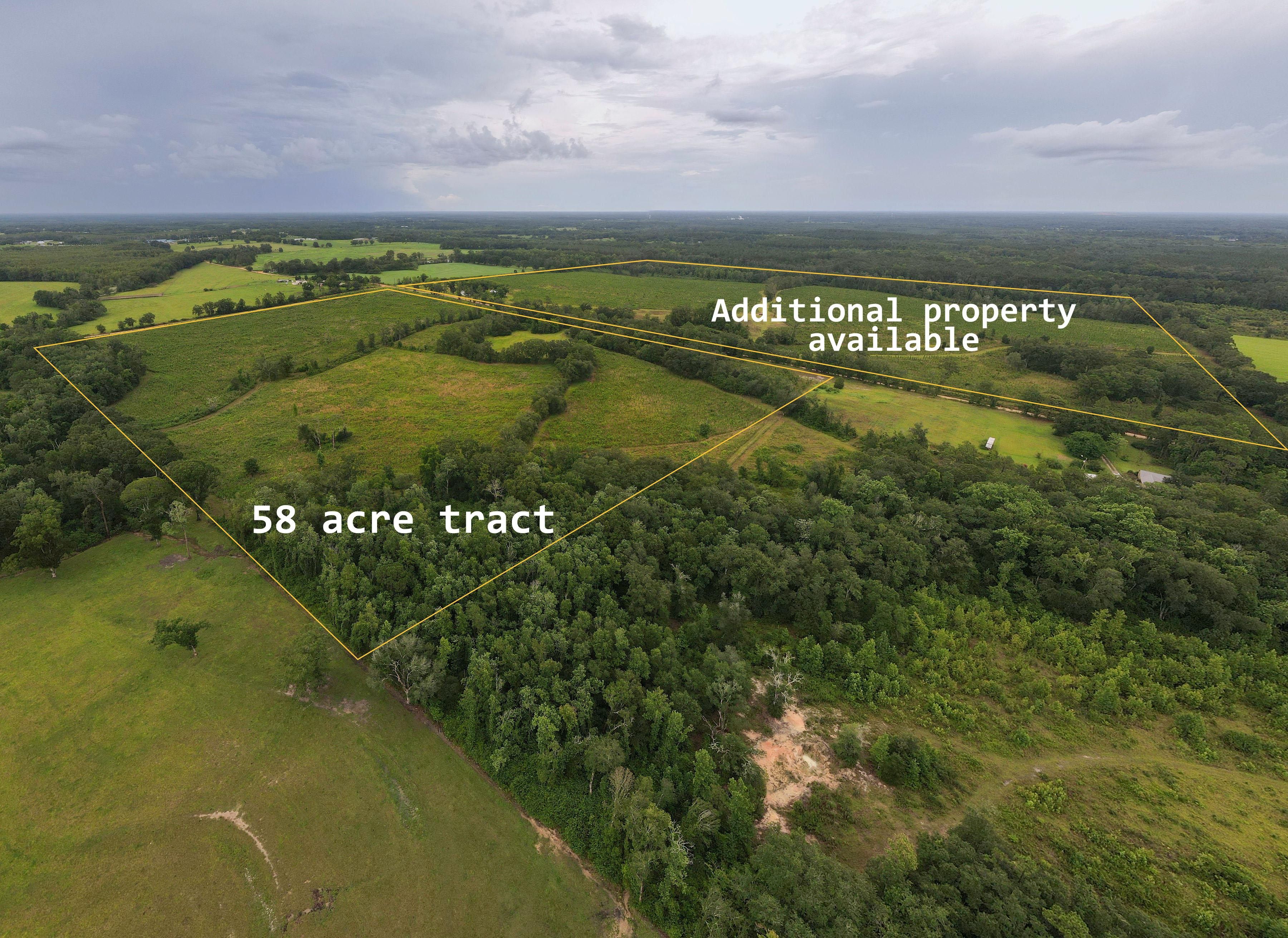 58 Acres In Holmes County Florida 3164