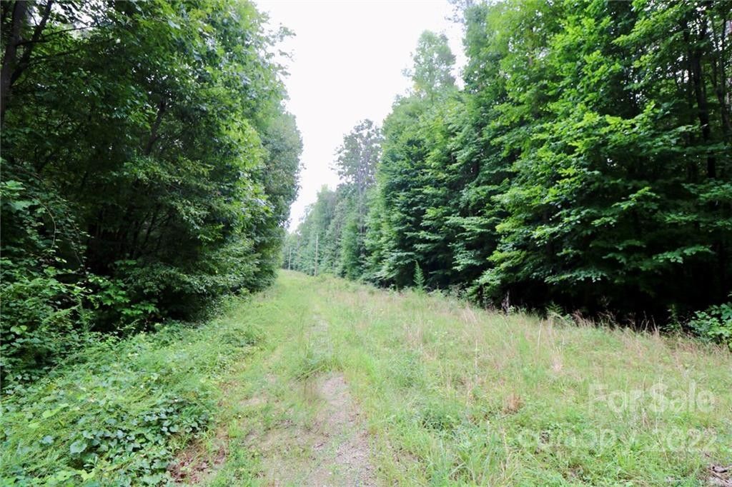 20 acres in Lincoln County, North Carolina