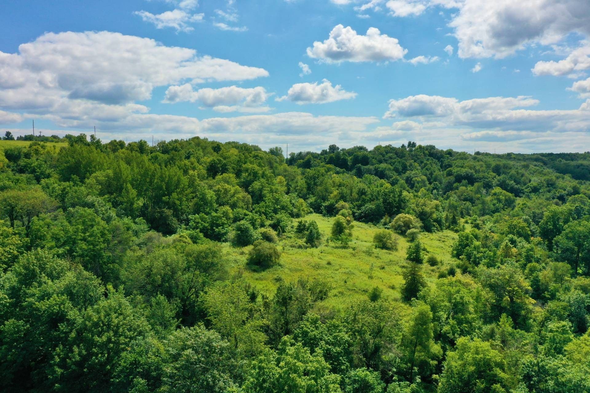 55 acres in Fayette County, Iowa
