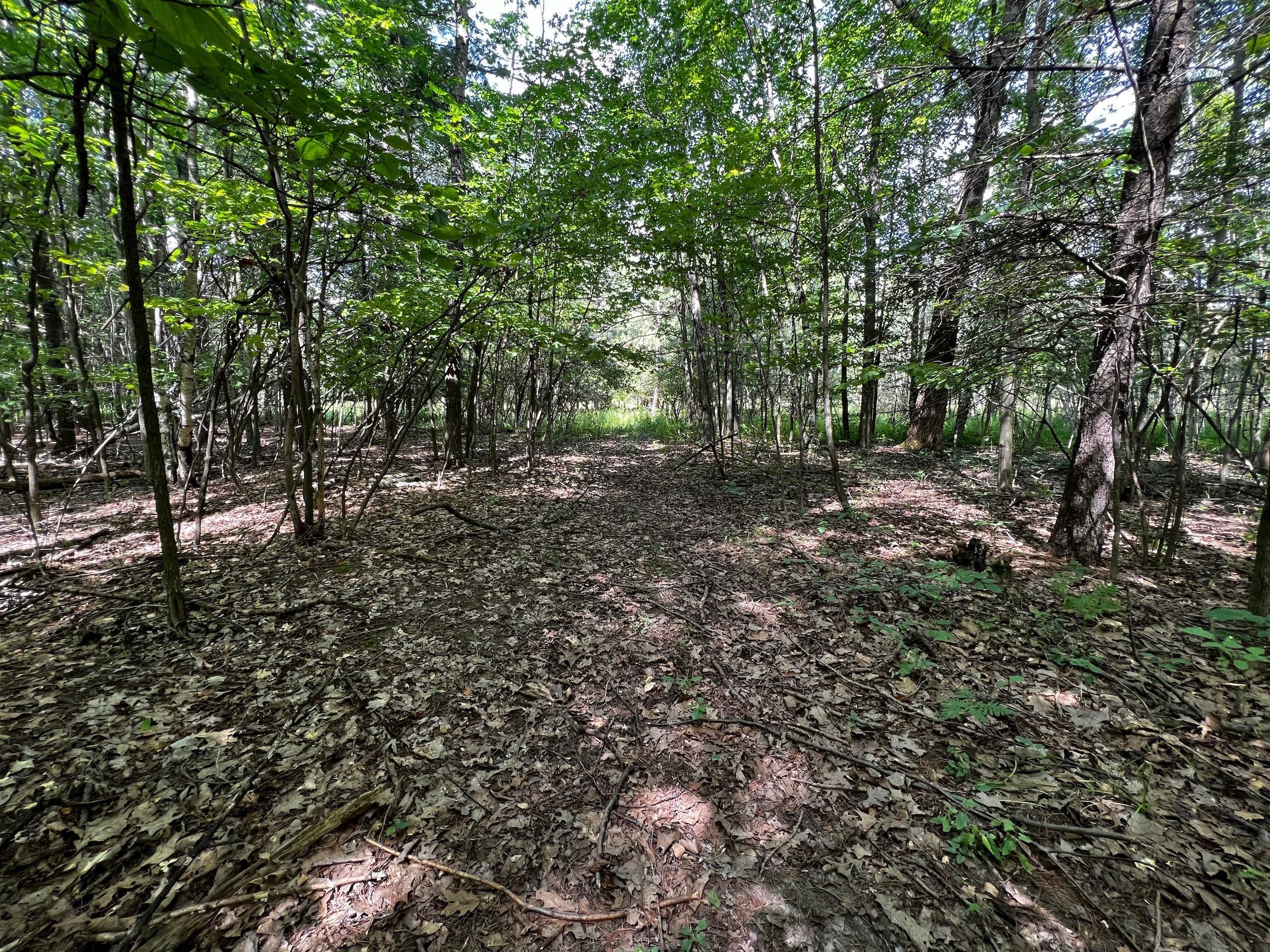 26 acres in Gladwin County, Michigan