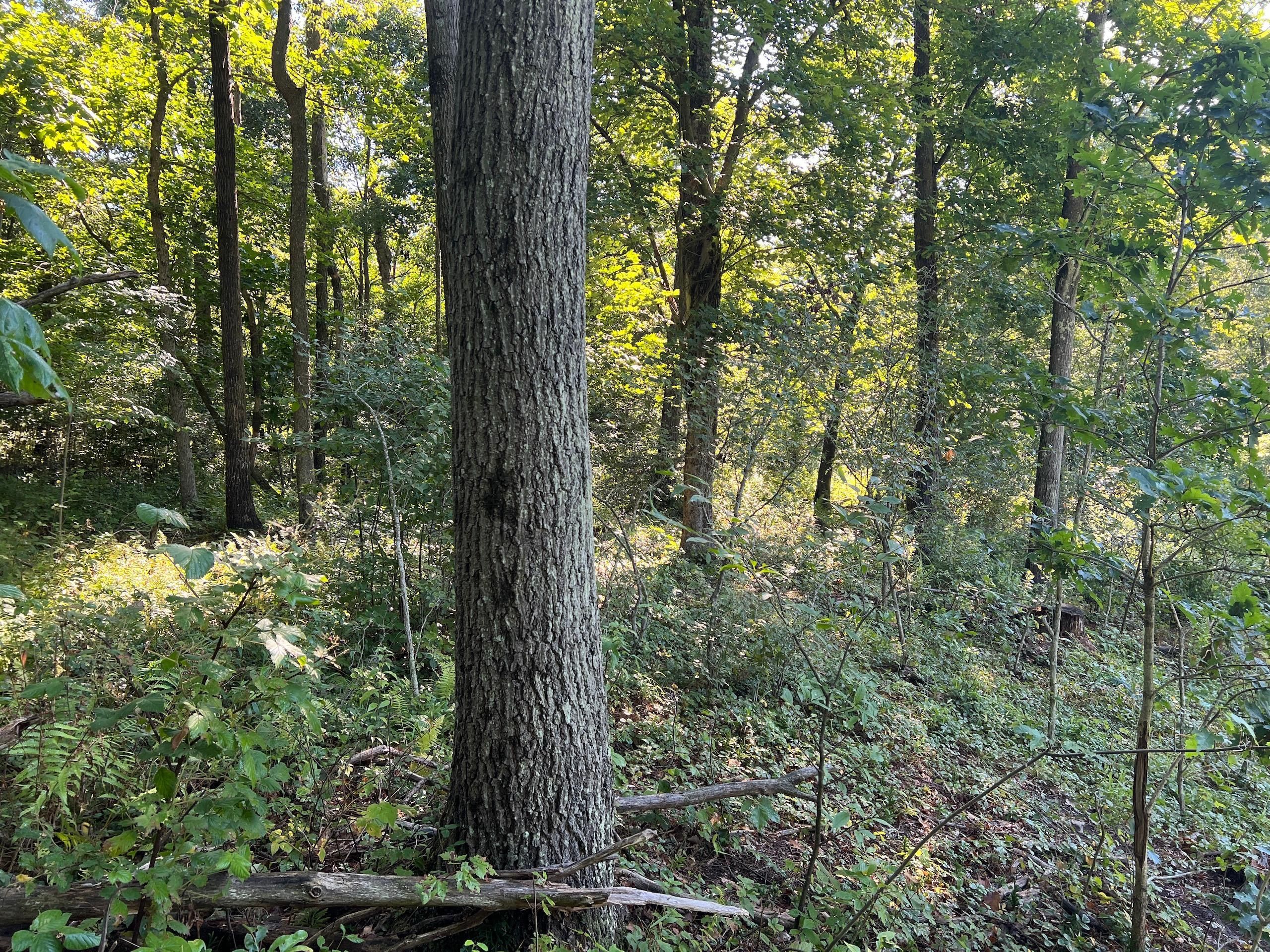 57.76 acres in Venango County, Pennsylvania