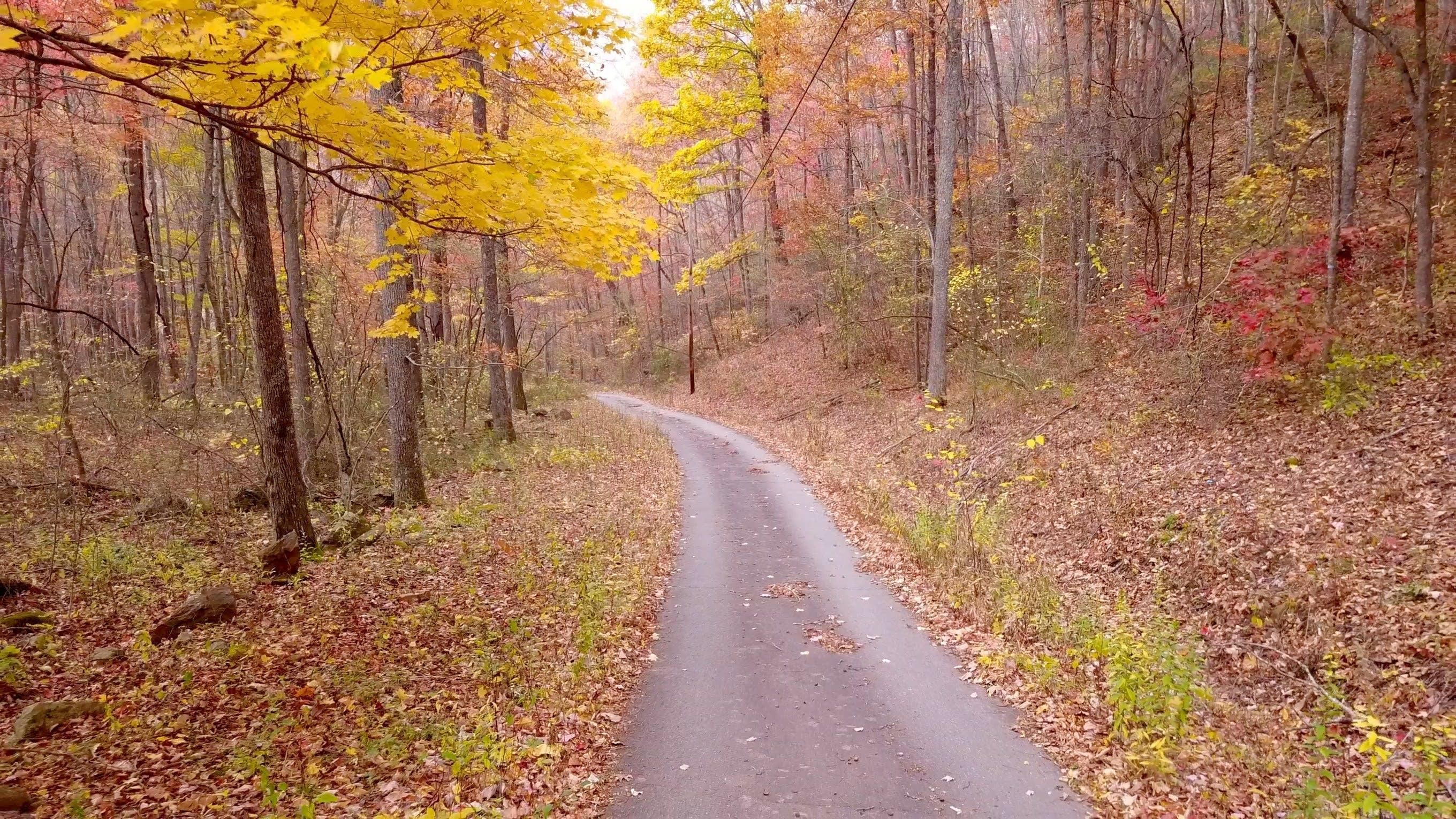 180 acres in Haywood County, North Carolina