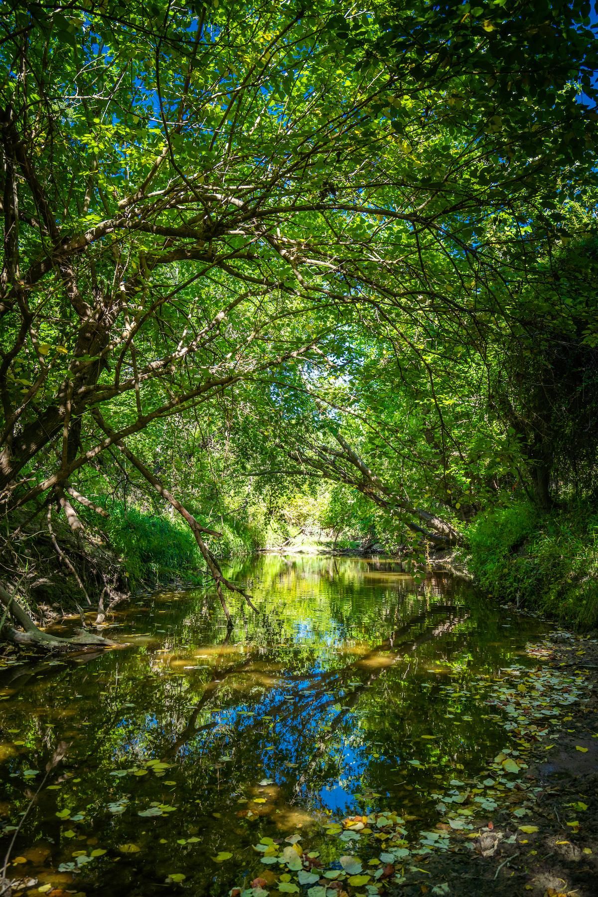 1,265 acres in Refugio County, Texas