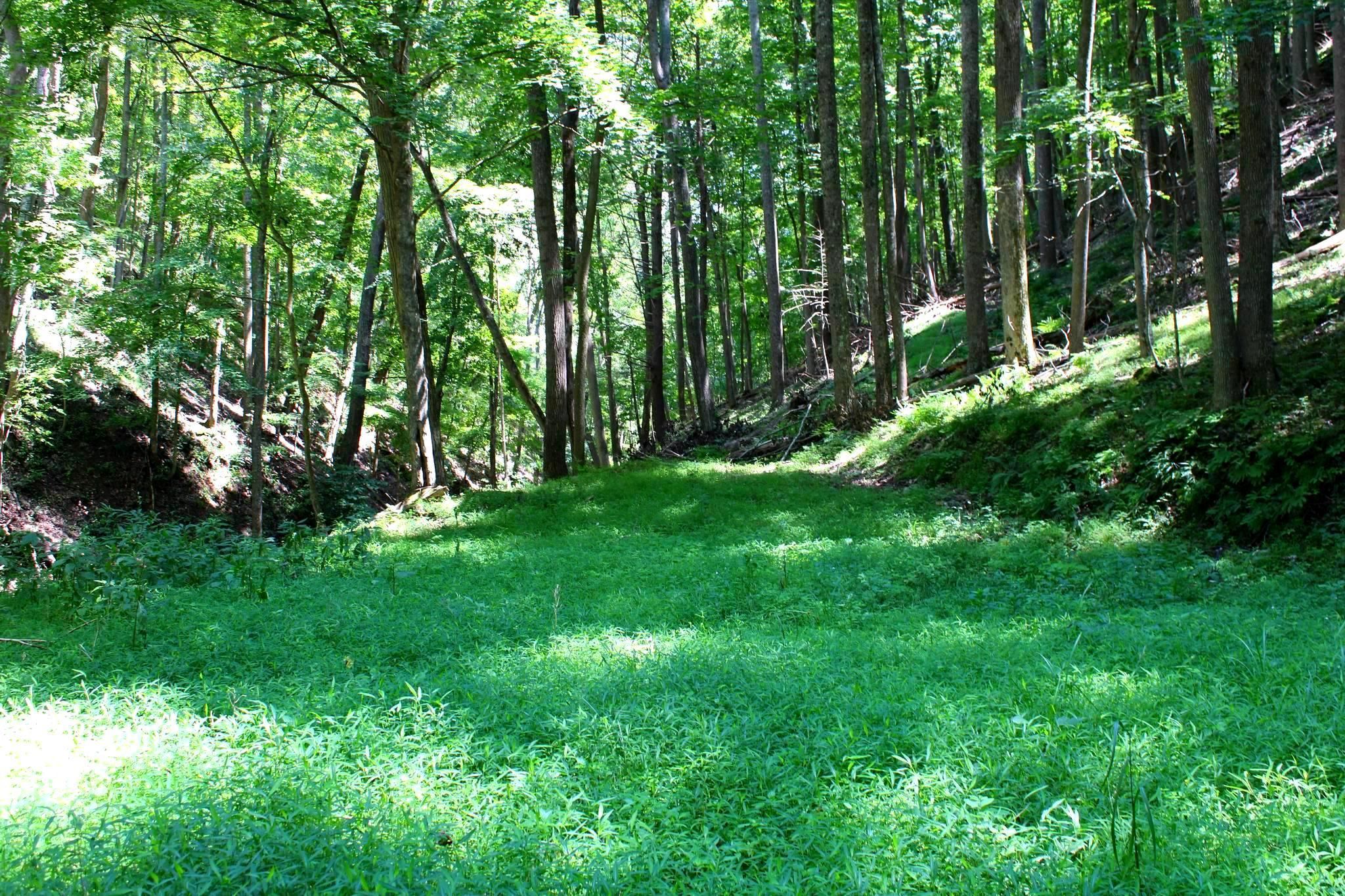 20 acres in Hampshire County, West Virginia