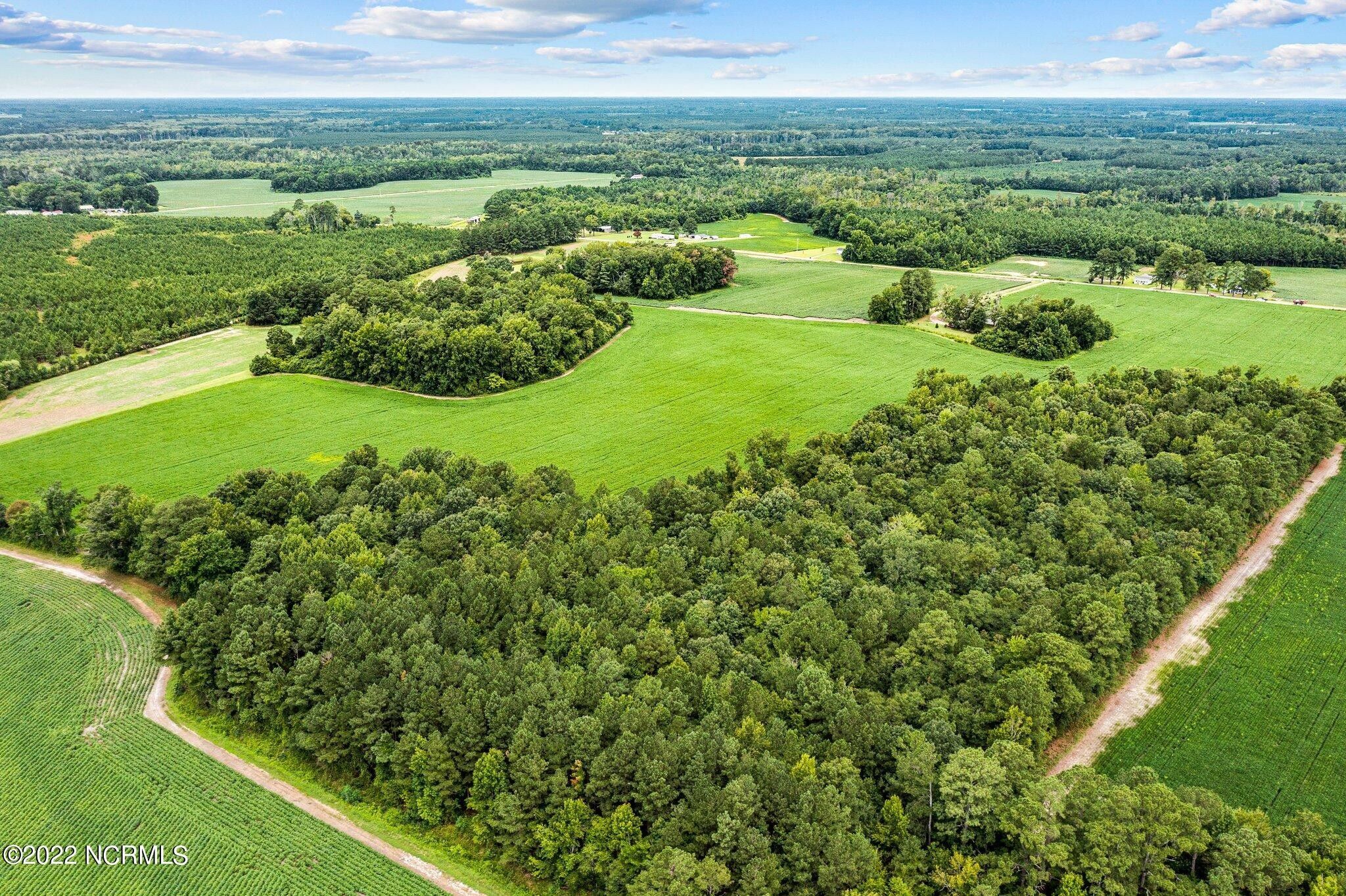 53 acres in Martin County, North Carolina