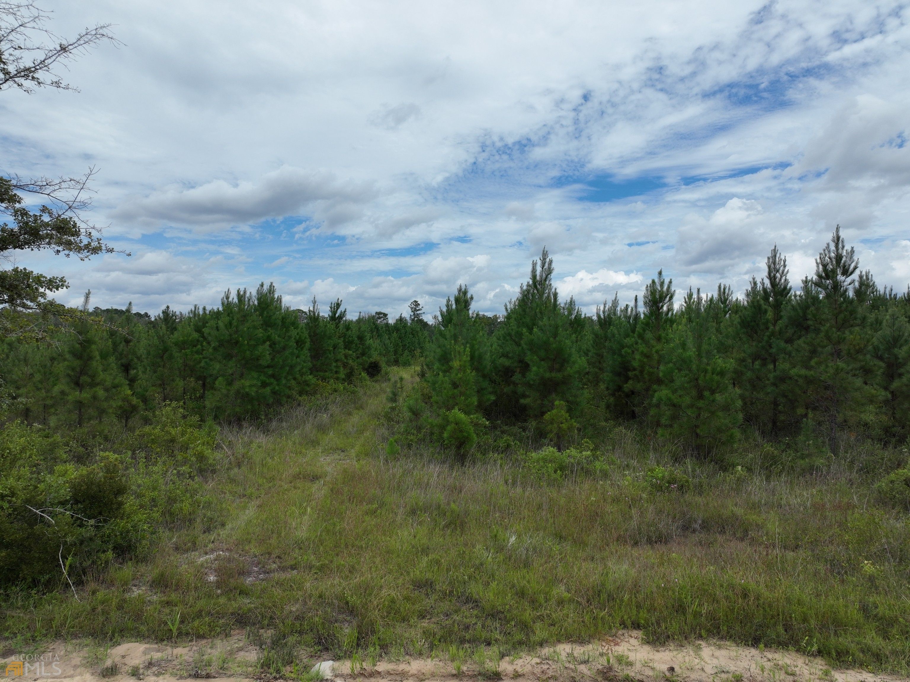 Wayne County Ga Tax Assessor Property Search - c7gmj2r