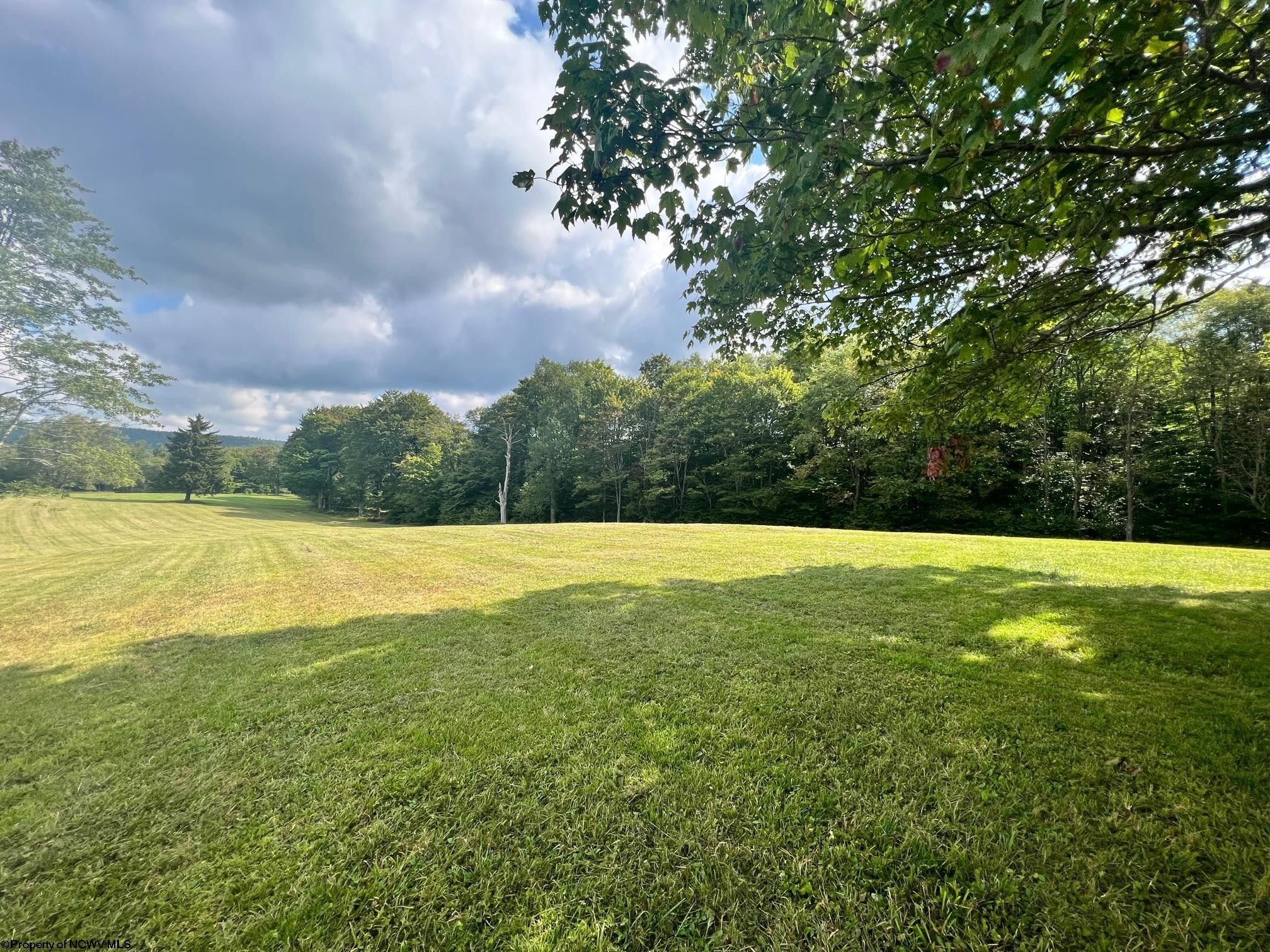 2 acres in Tucker County, West Virginia