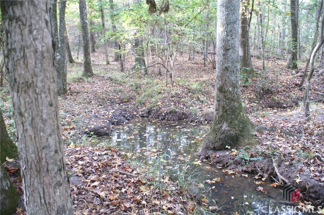 5 acres in Hancock County,