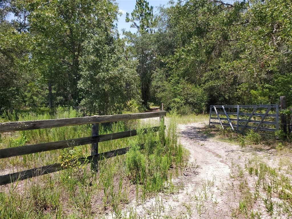 20 acres in Levy County, Florida