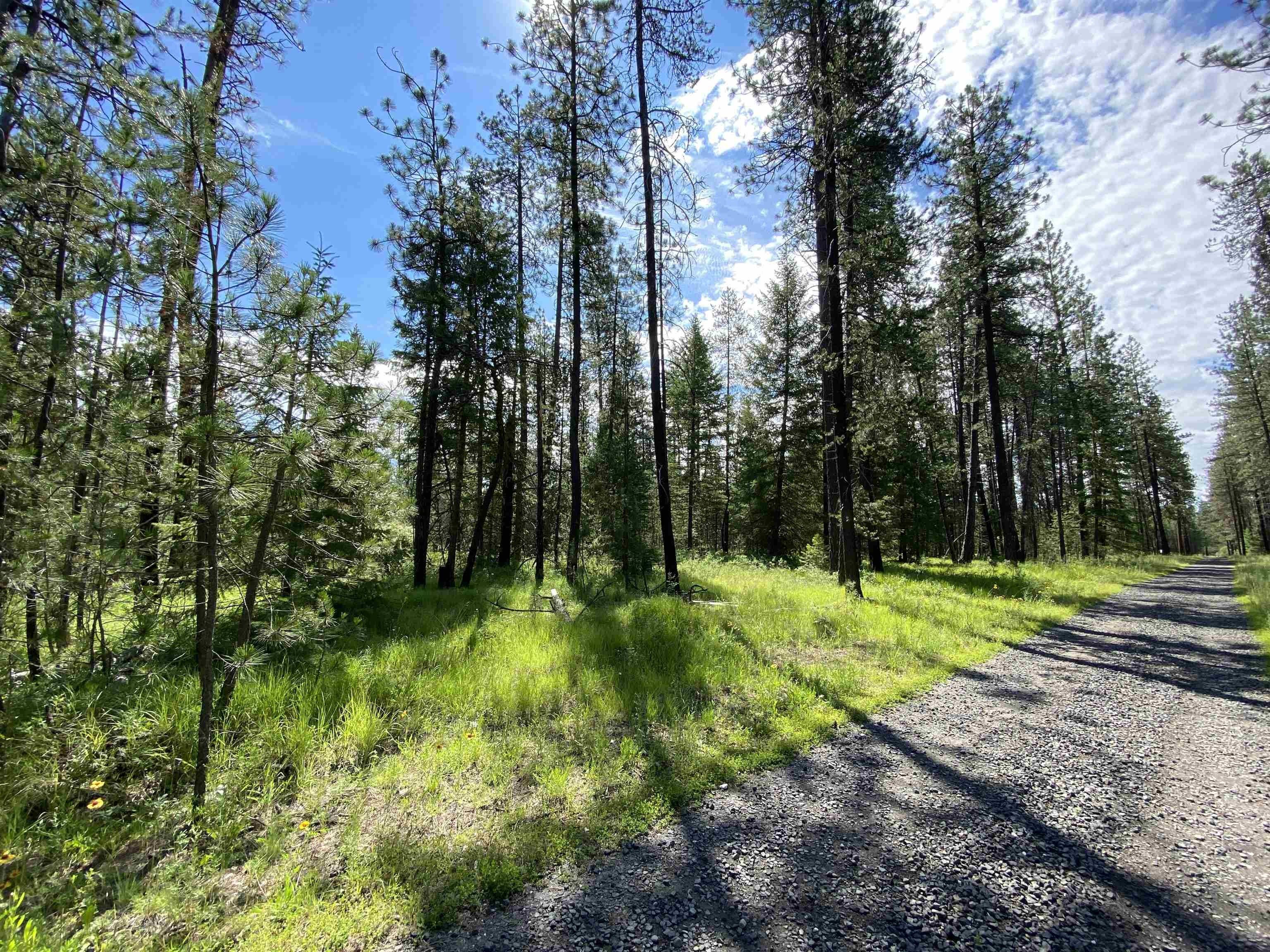5 acres in Stevens County, Washington