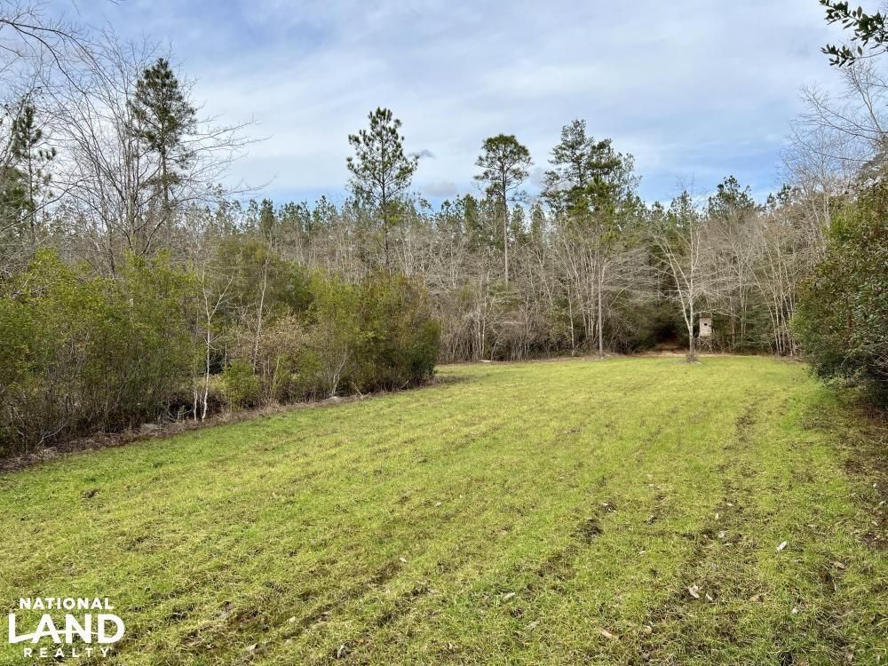355 acres in Conecuh County, Alabama