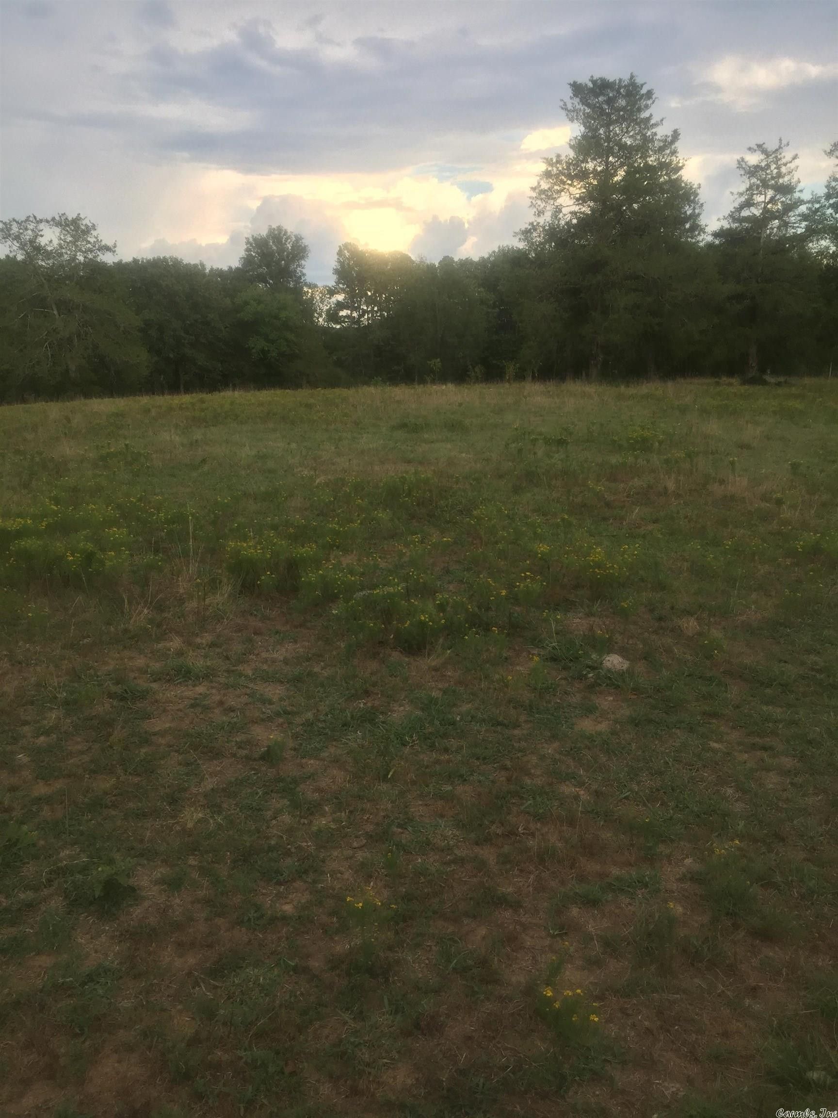 21 acres in Montgomery County, Arkansas