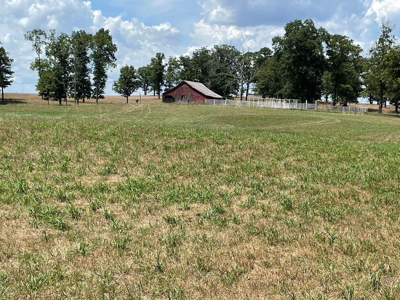 320 acres in Shannon County, Missouri