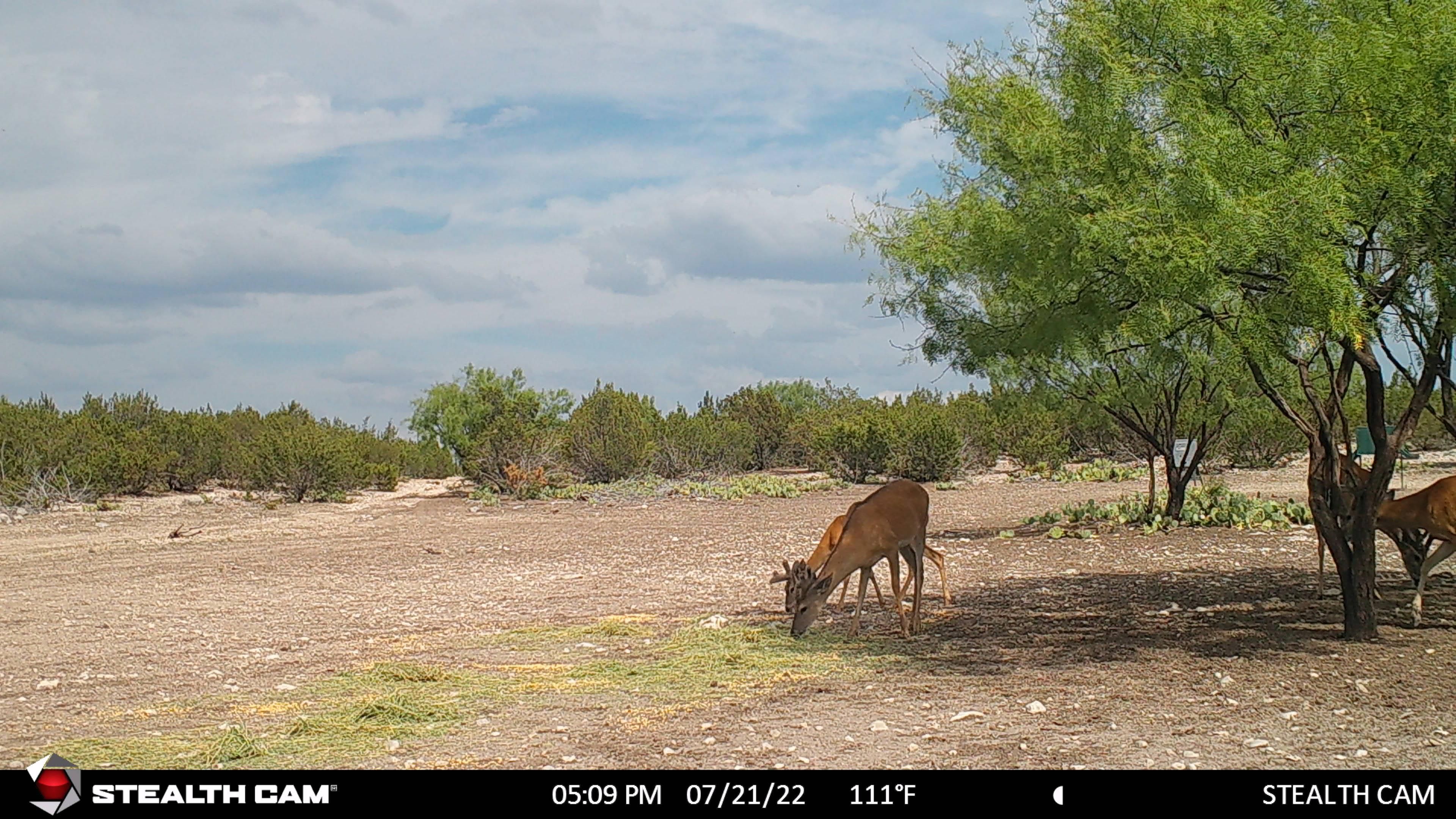 400.81 acres in Val Verde County, Texas