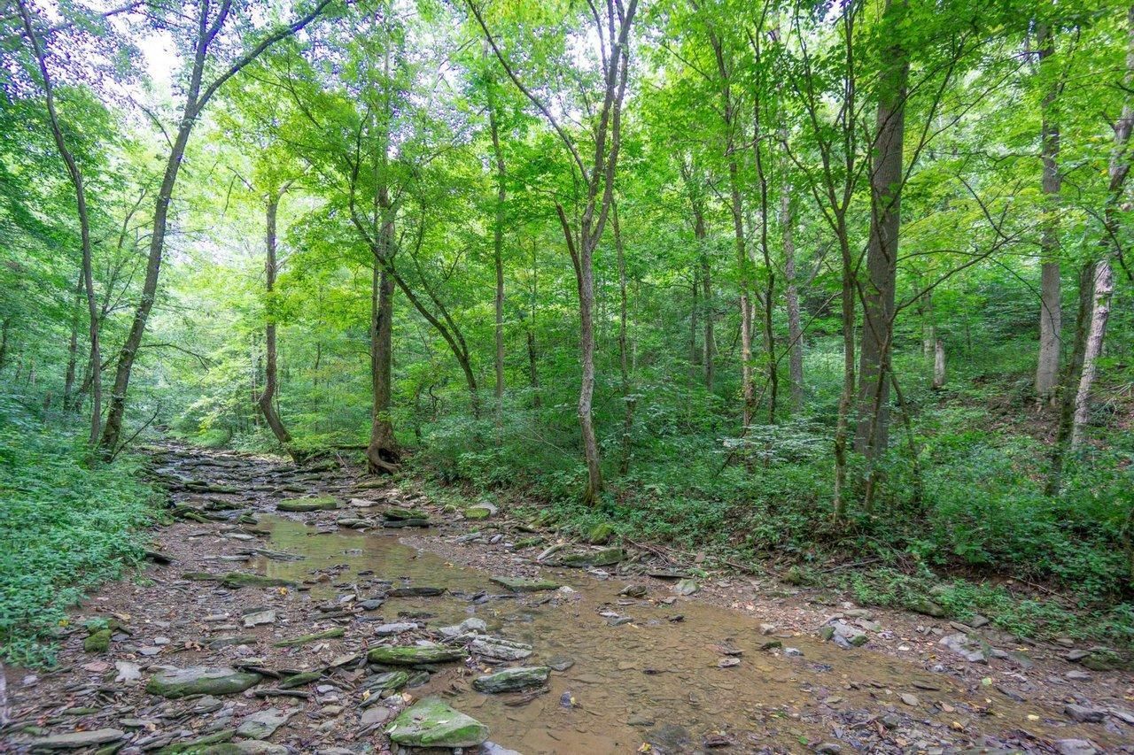 93.5 acres in Monroe County, Ohio