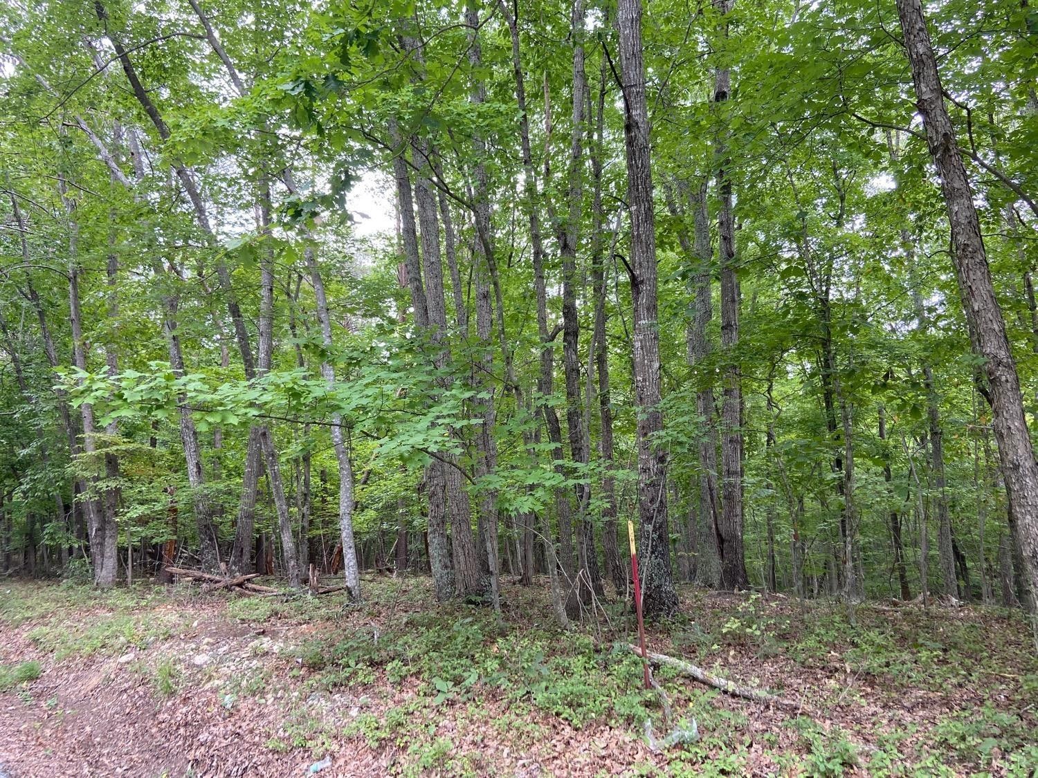 20 acres in Amherst County, Virginia