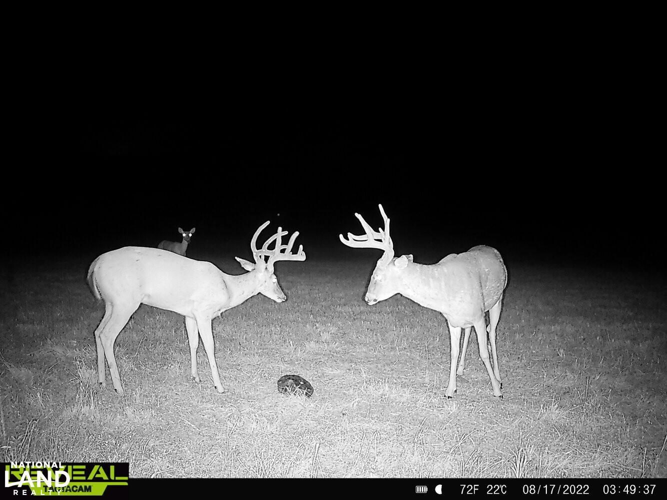 80 acres in Elk County, Kansas