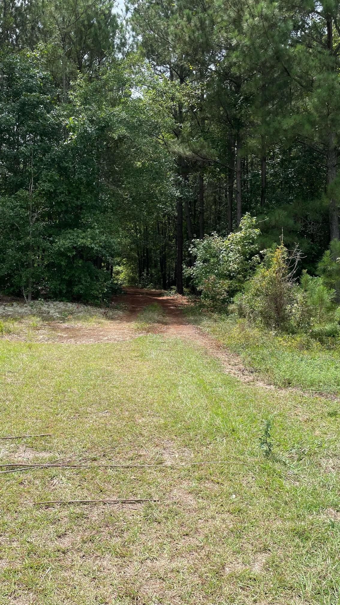 15.5 acres in Moore County, North Carolina