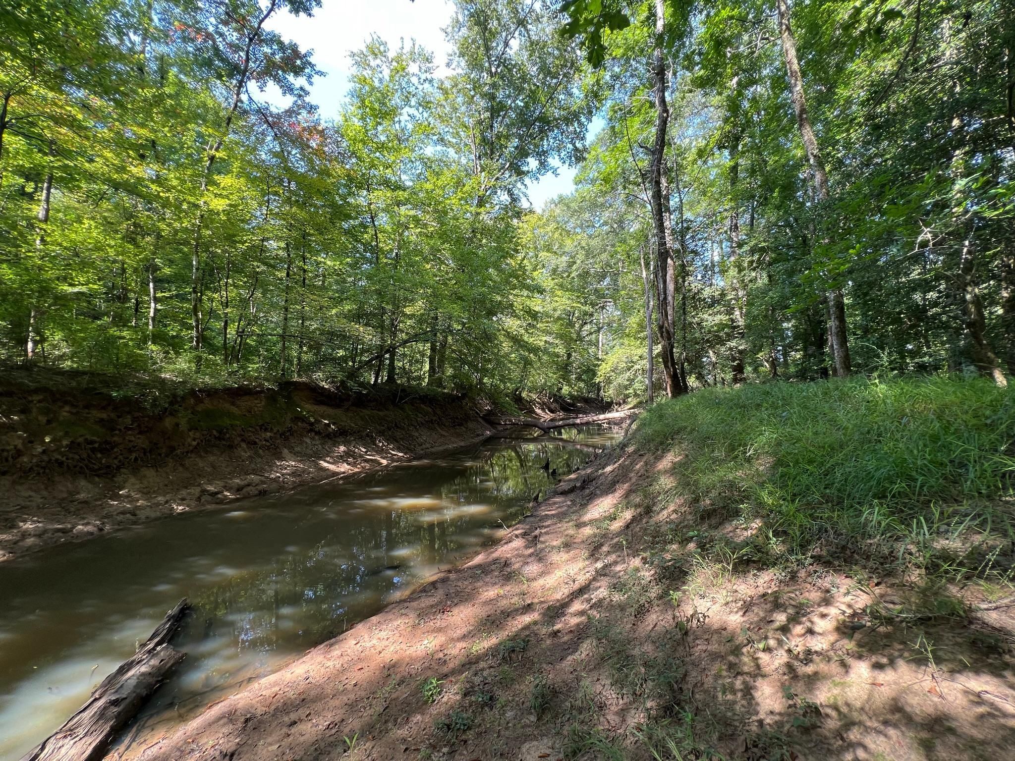 310 acres in Bienville Parish, Louisiana