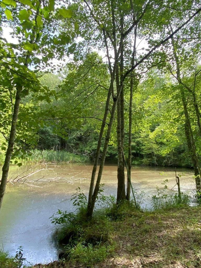 60 acres in Menifee County, Kentucky
