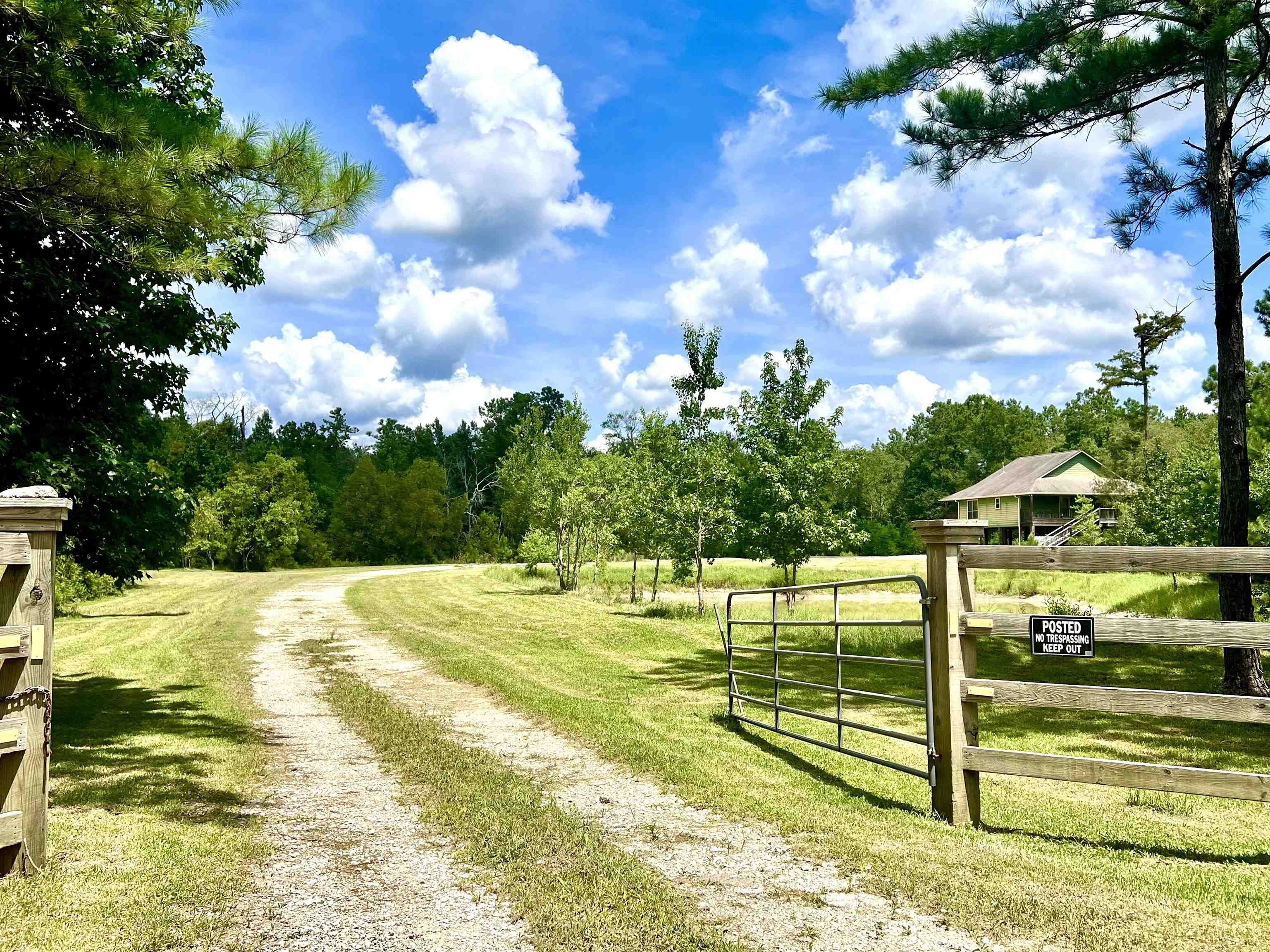 Zillow Kountze Tx - w5dxhc1