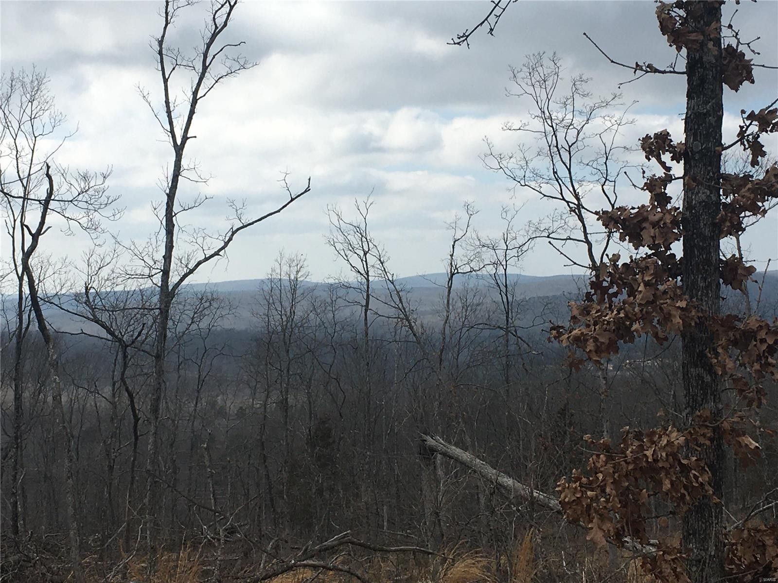 20 acres in Iron County, Missouri